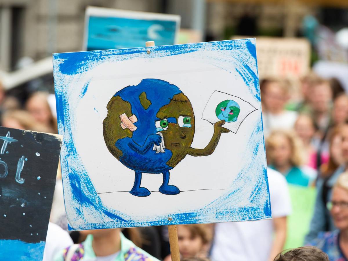 Ein Plakat auf einer Fridays-for-Future-Demo.
