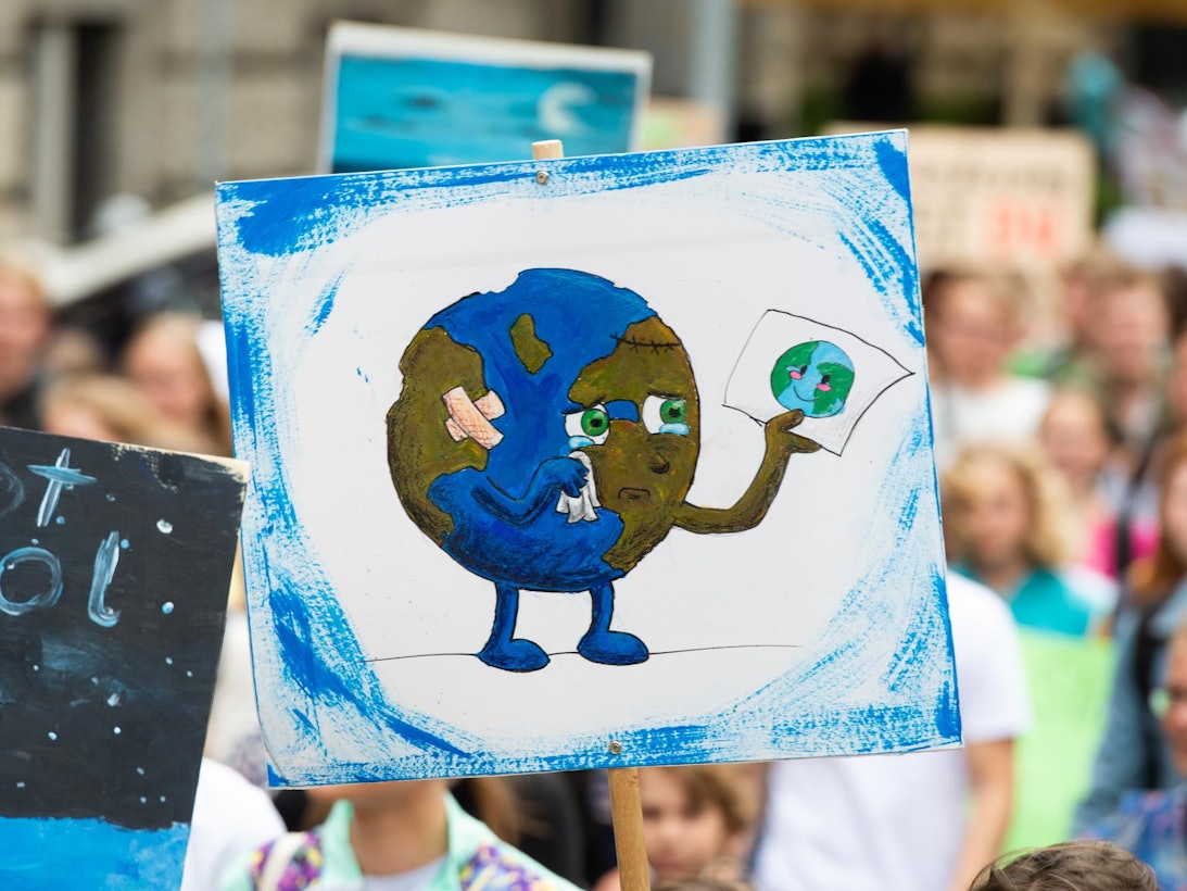 Ein Plakat auf einer Fridays-for-Future-Demo.