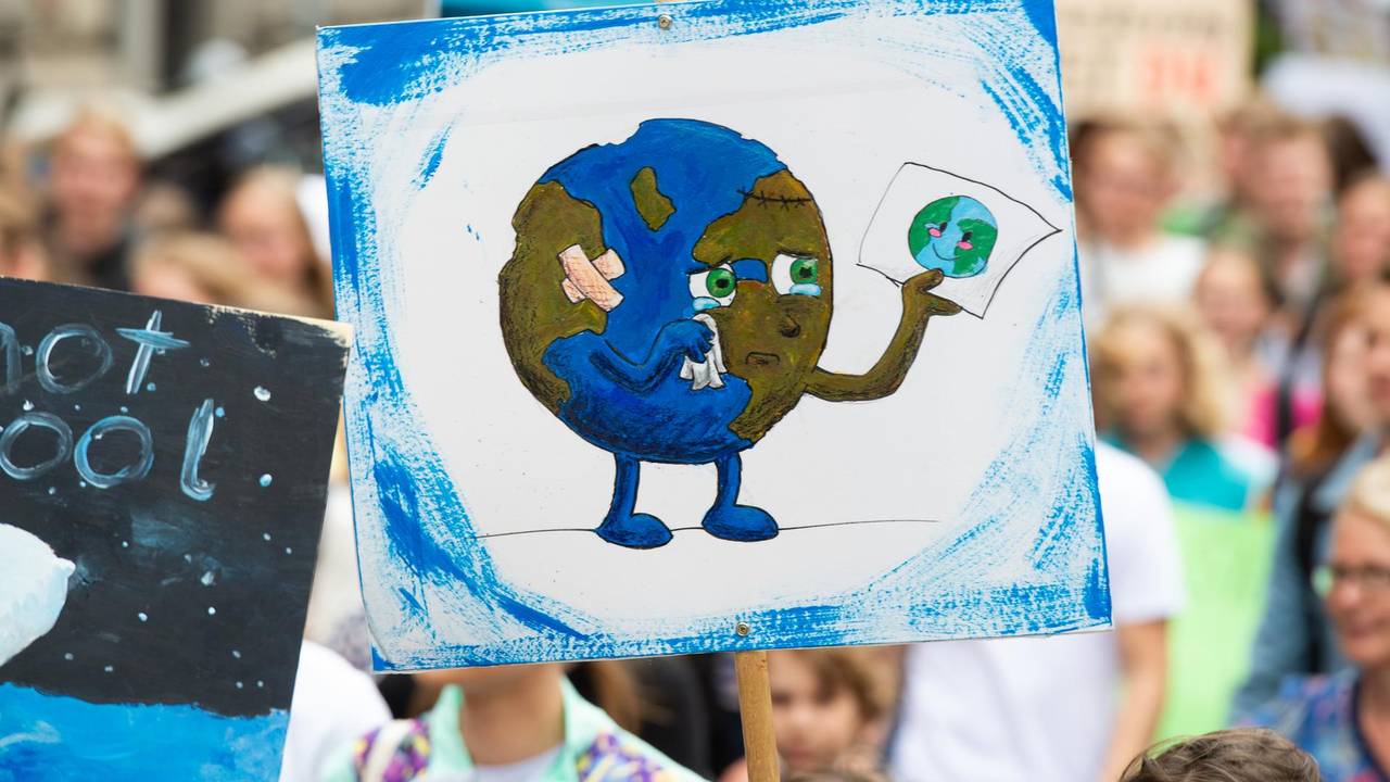 Ein Plakat auf einer Fridays-for-Future-Demo.