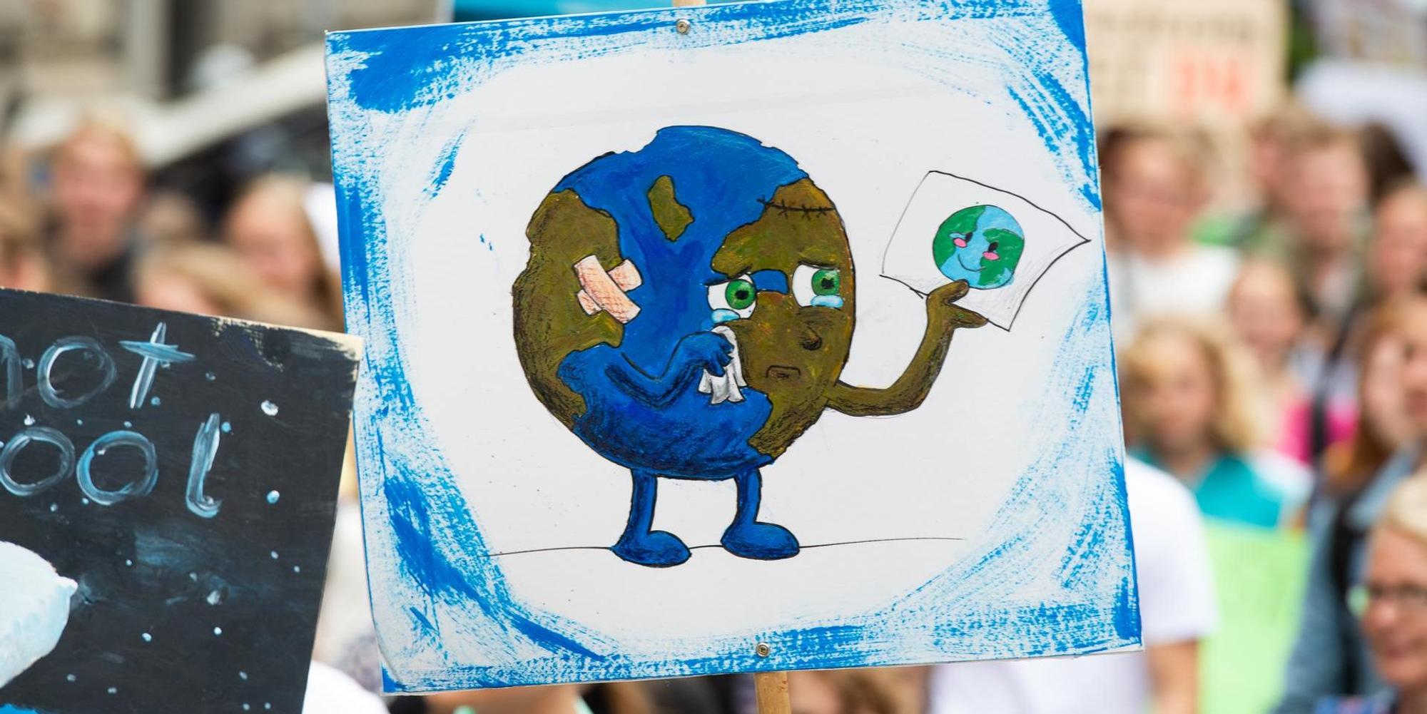 Ein Plakat auf einer Fridays-for-Future-Demo.