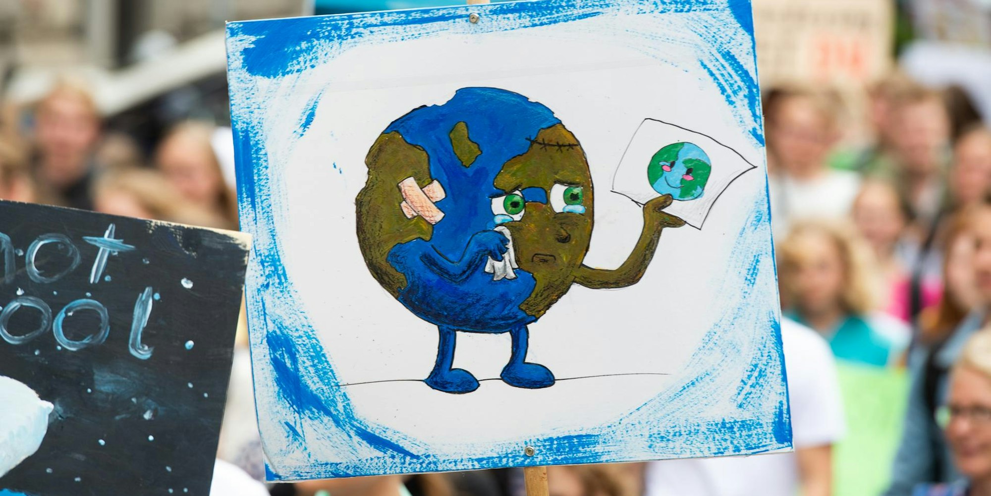 Ein Plakat auf einer Fridays-for-Future-Demo.