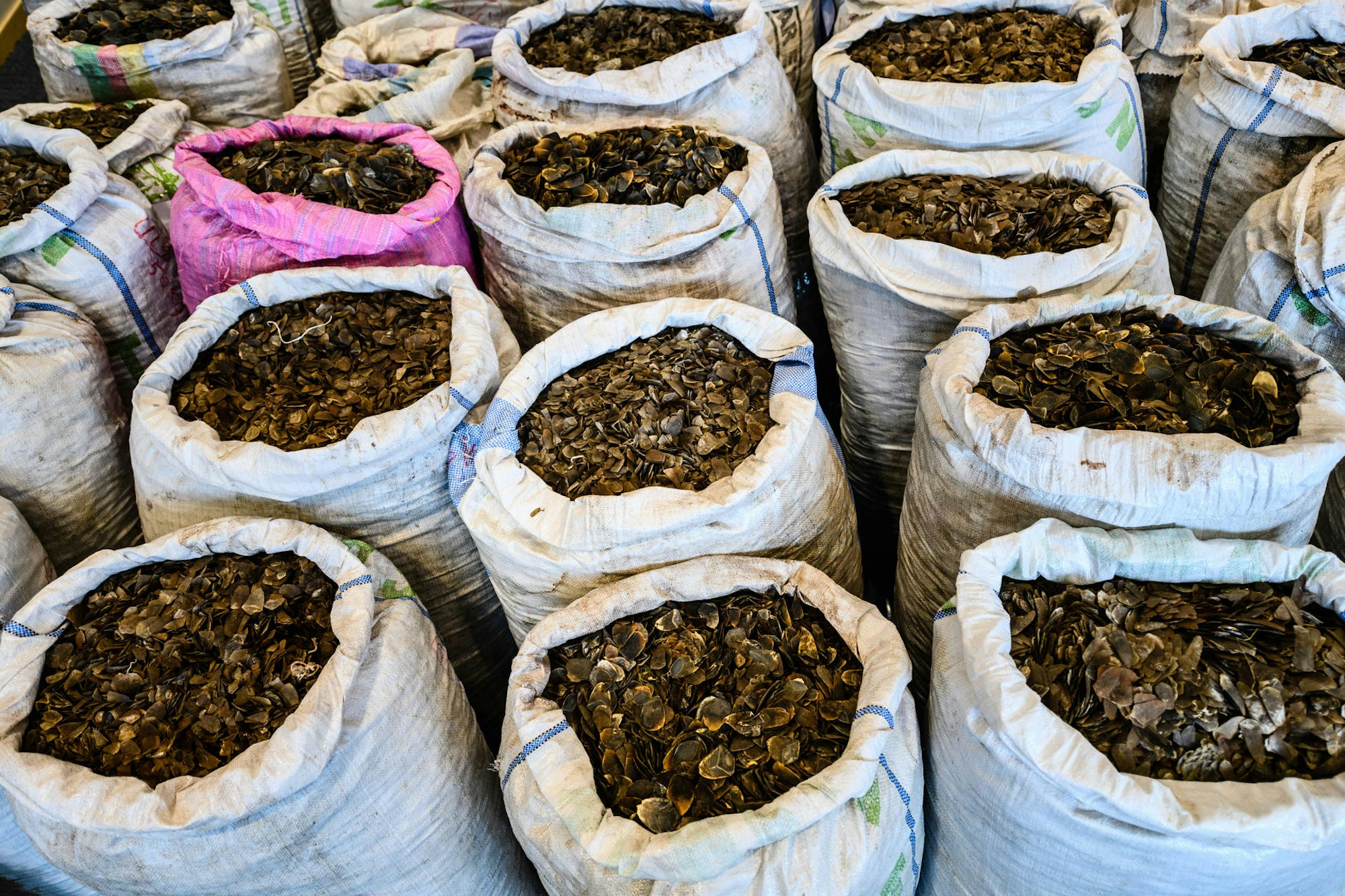 Pangolin_Schuppen_Markt