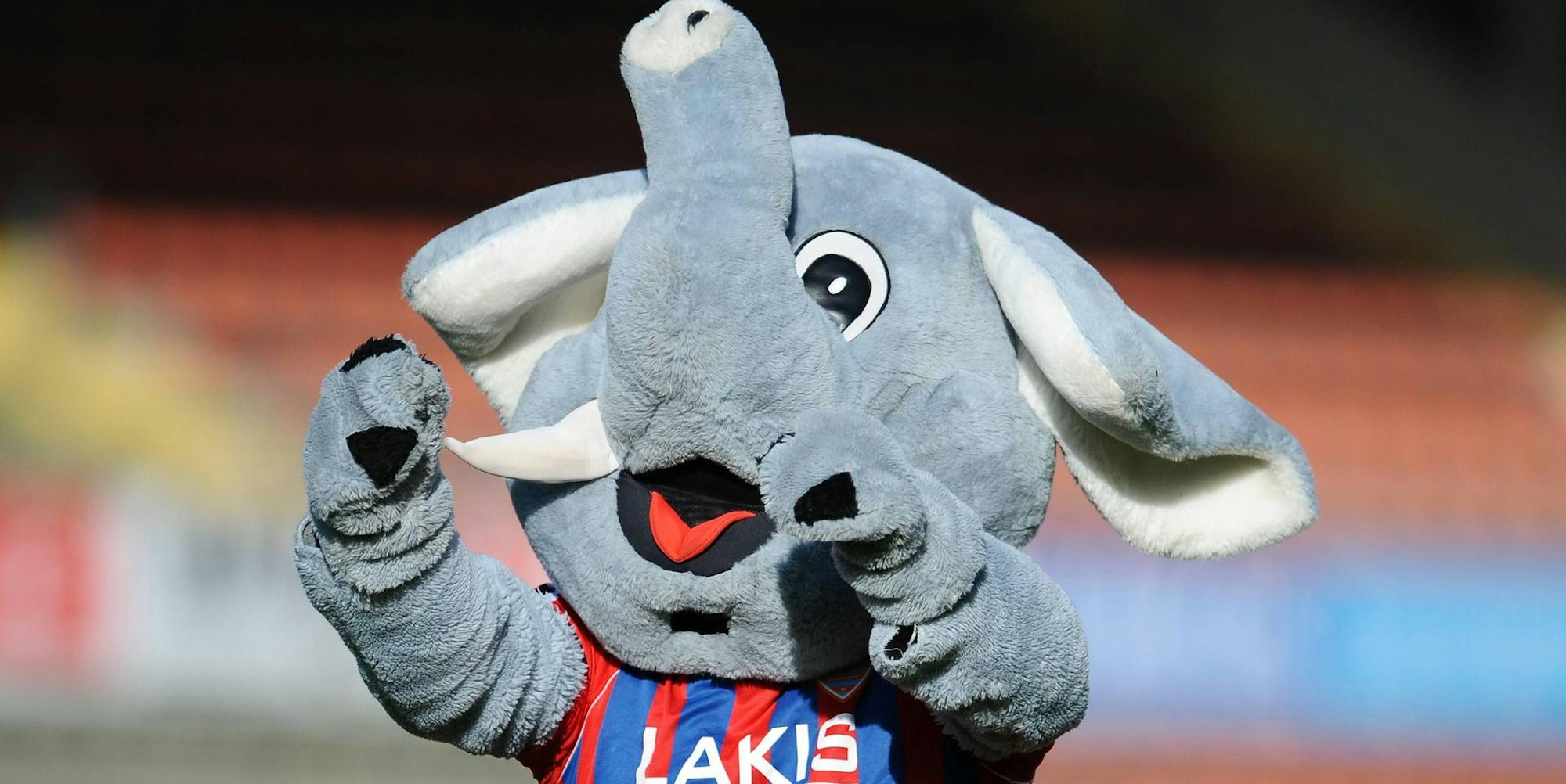 Grotifant Symbolfoto