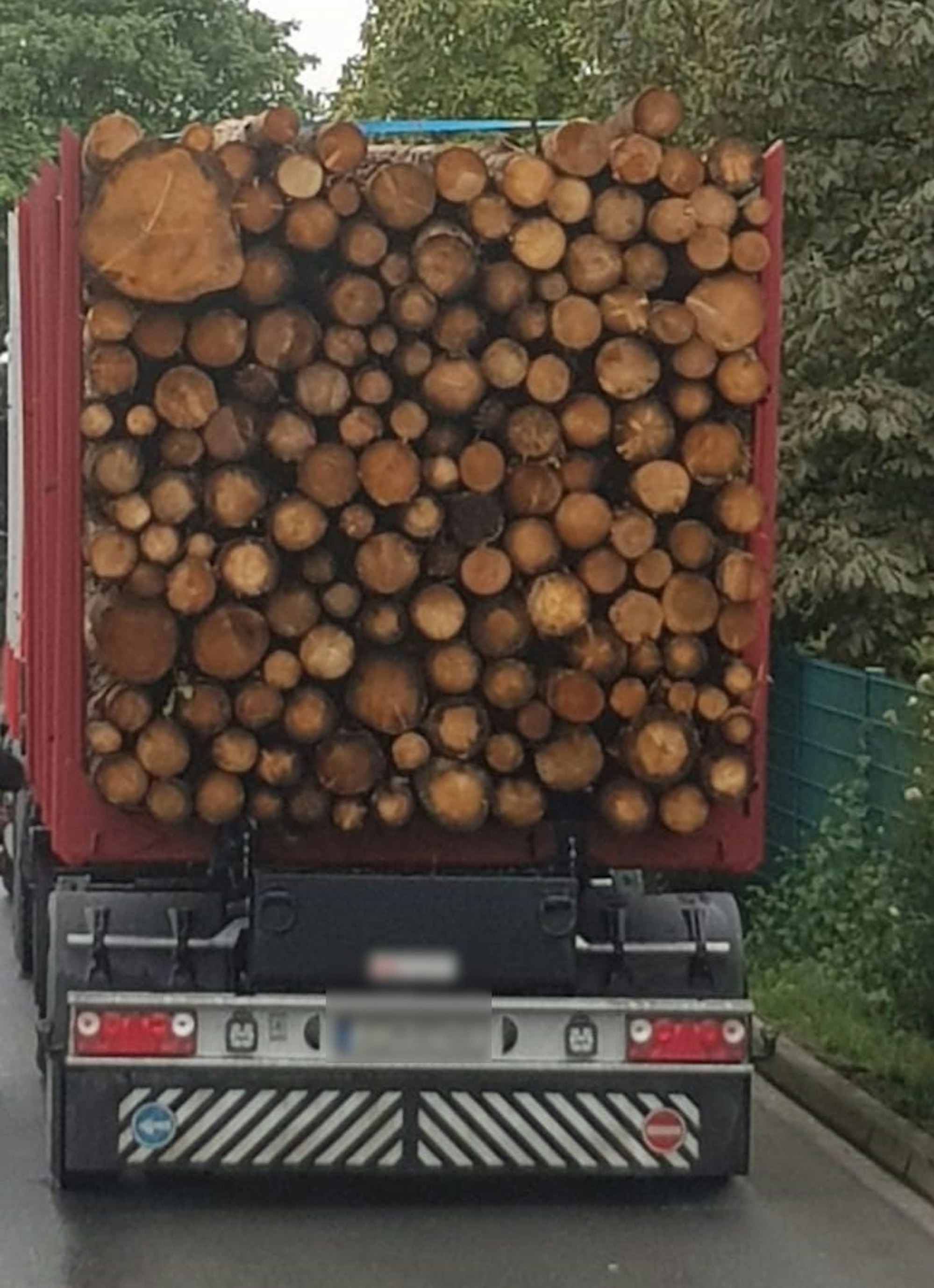LKW beladen mit Bäumen