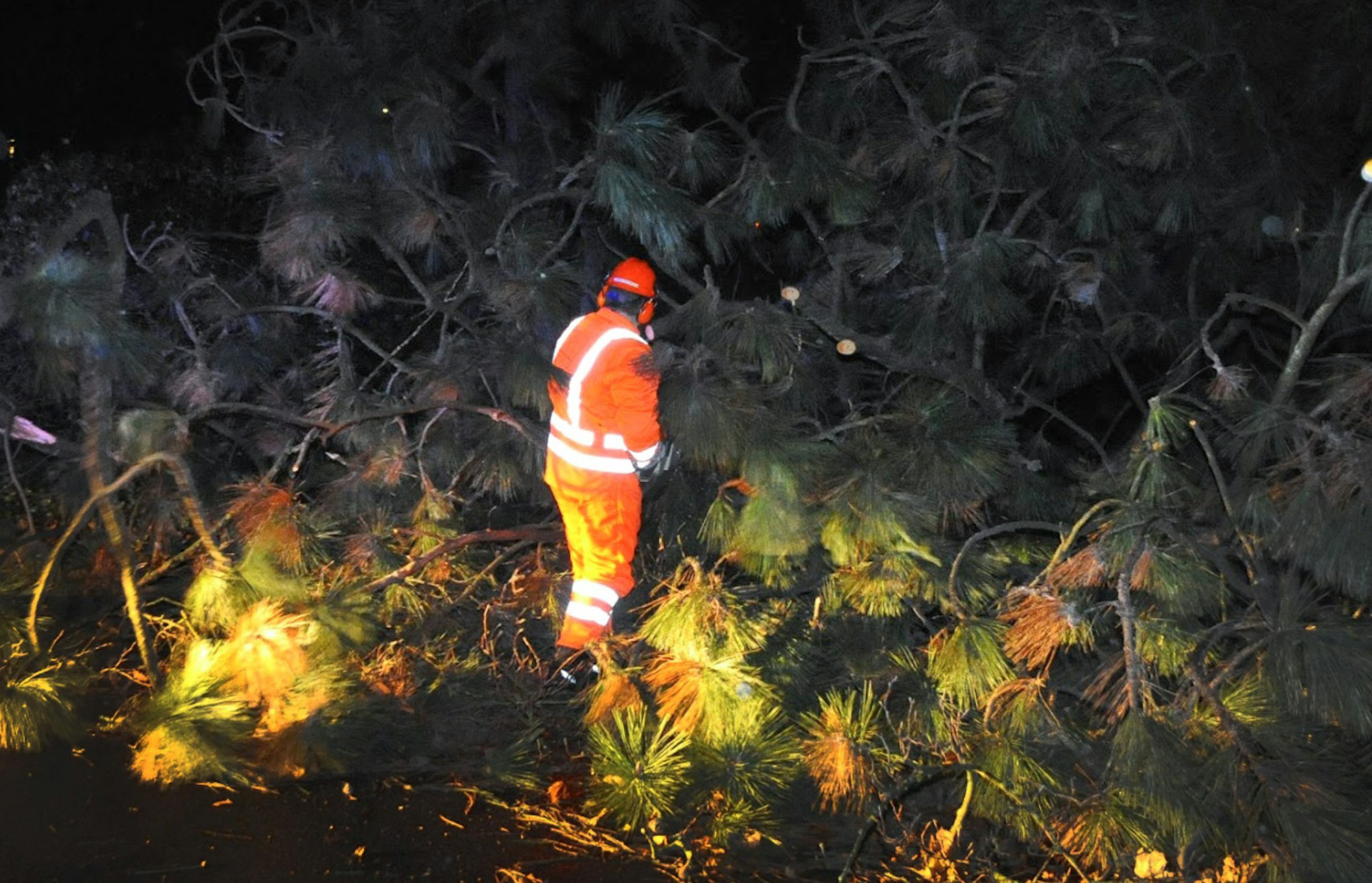 Sabine_Mönchengladbach5FA092008F9FB33D