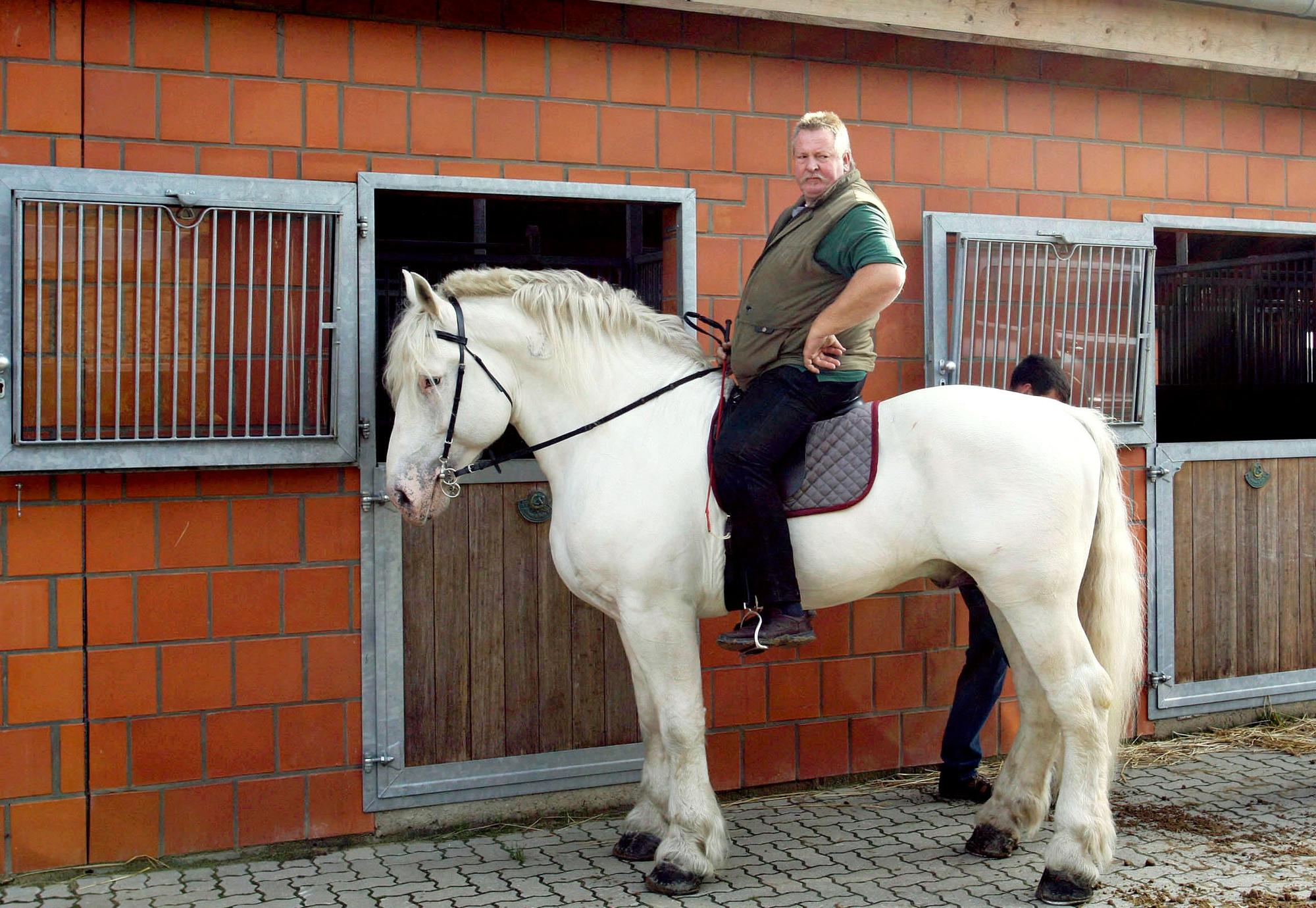 Neuer Inhalt