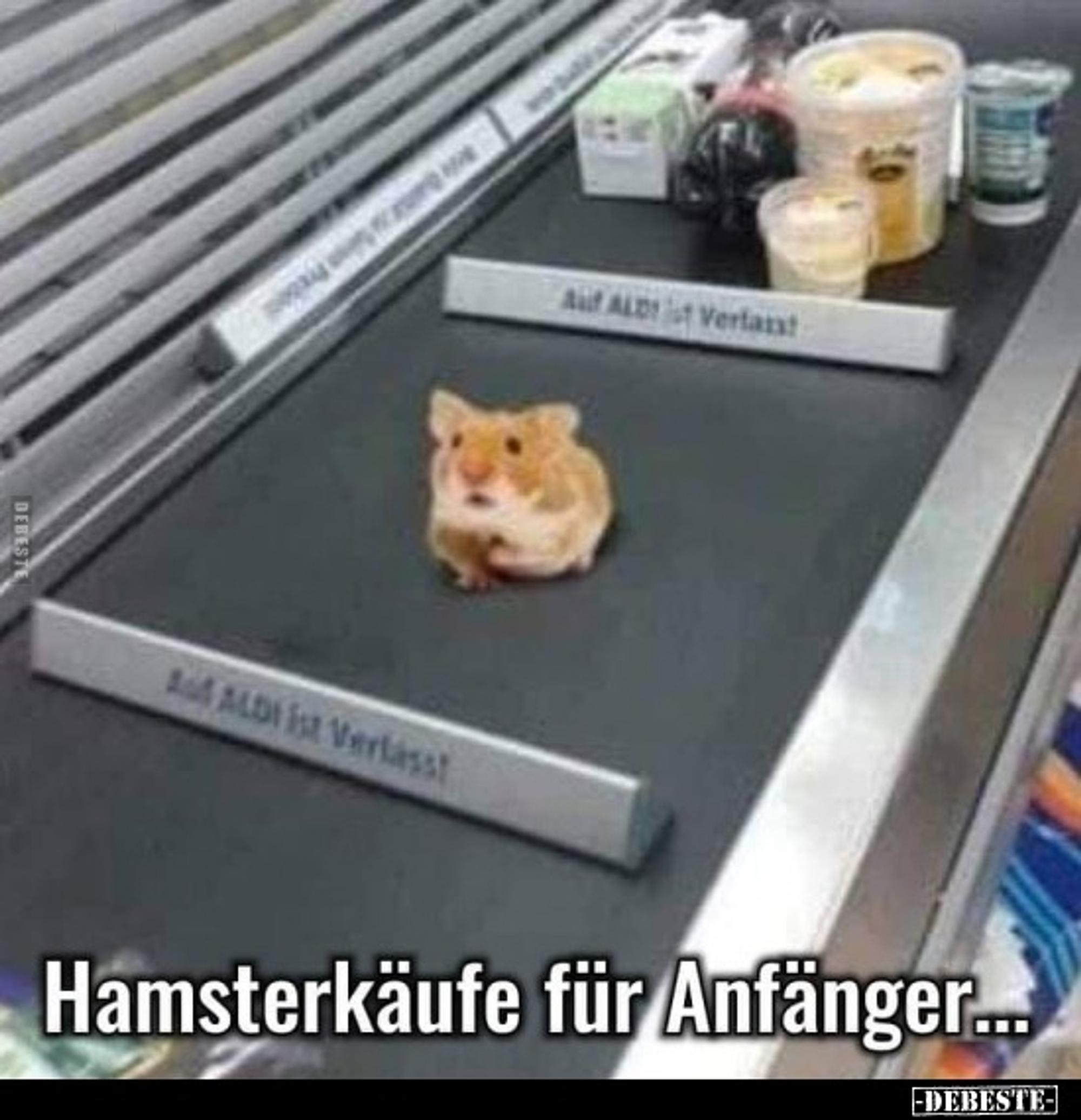 Neuer Inhalt (2)