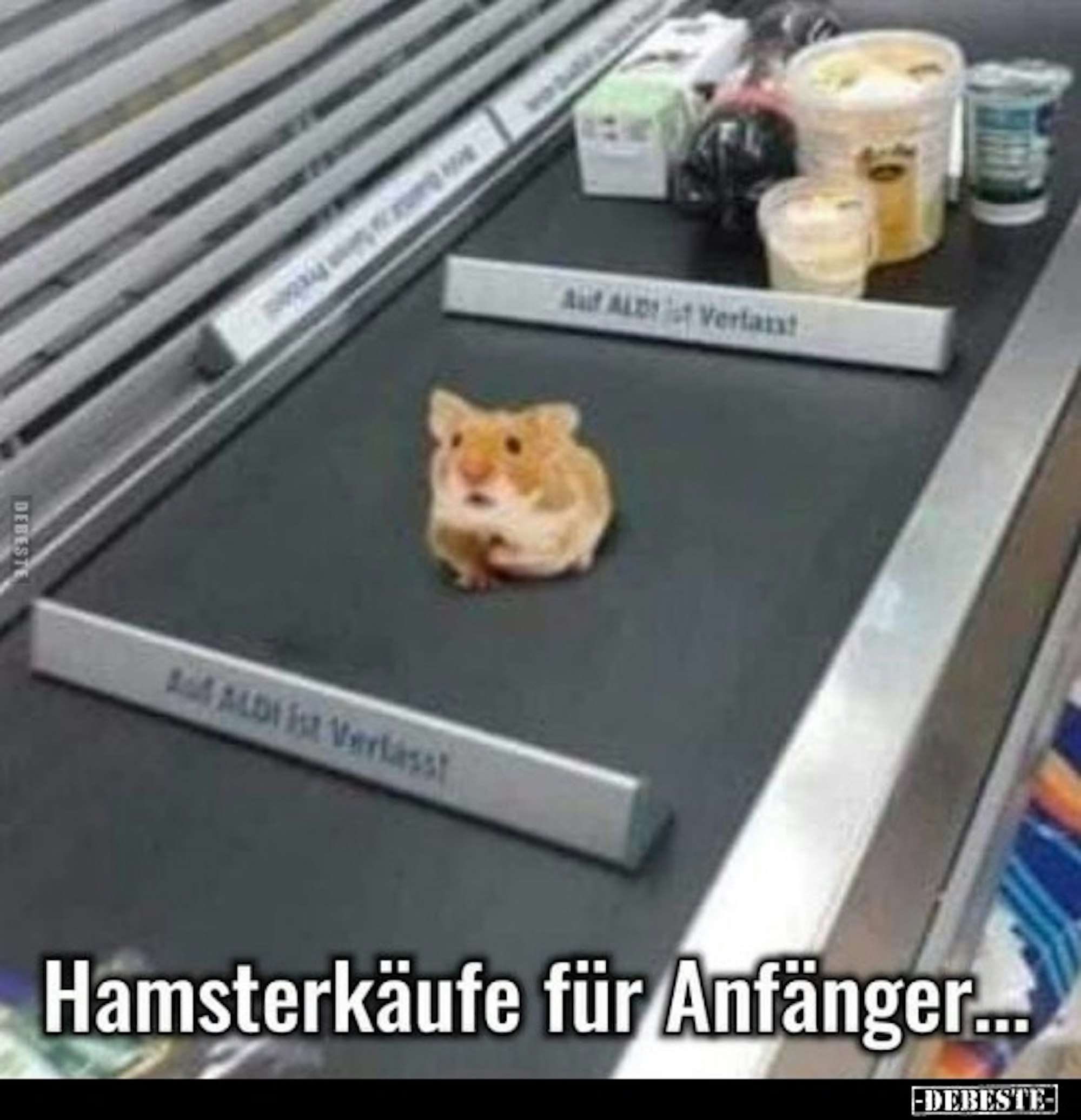Neuer Inhalt (2)
