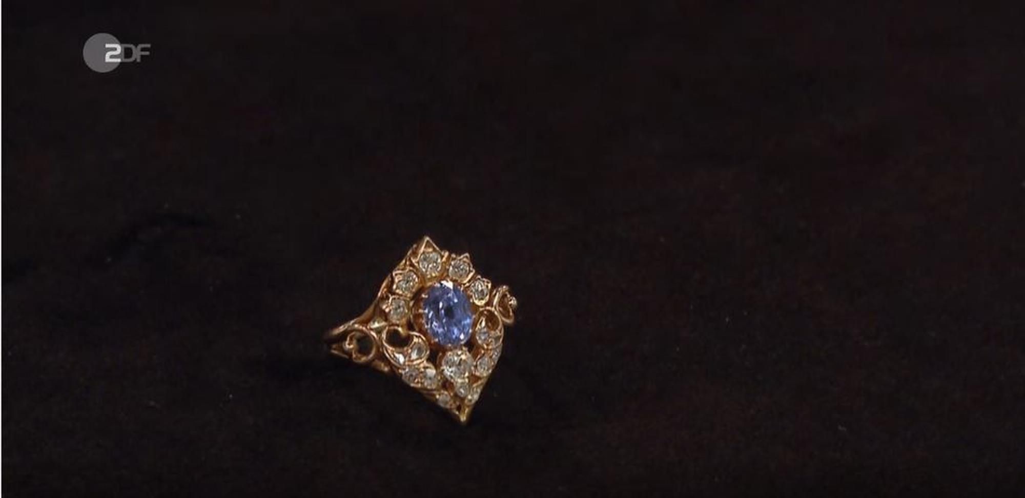 Ring_BfR_20052021