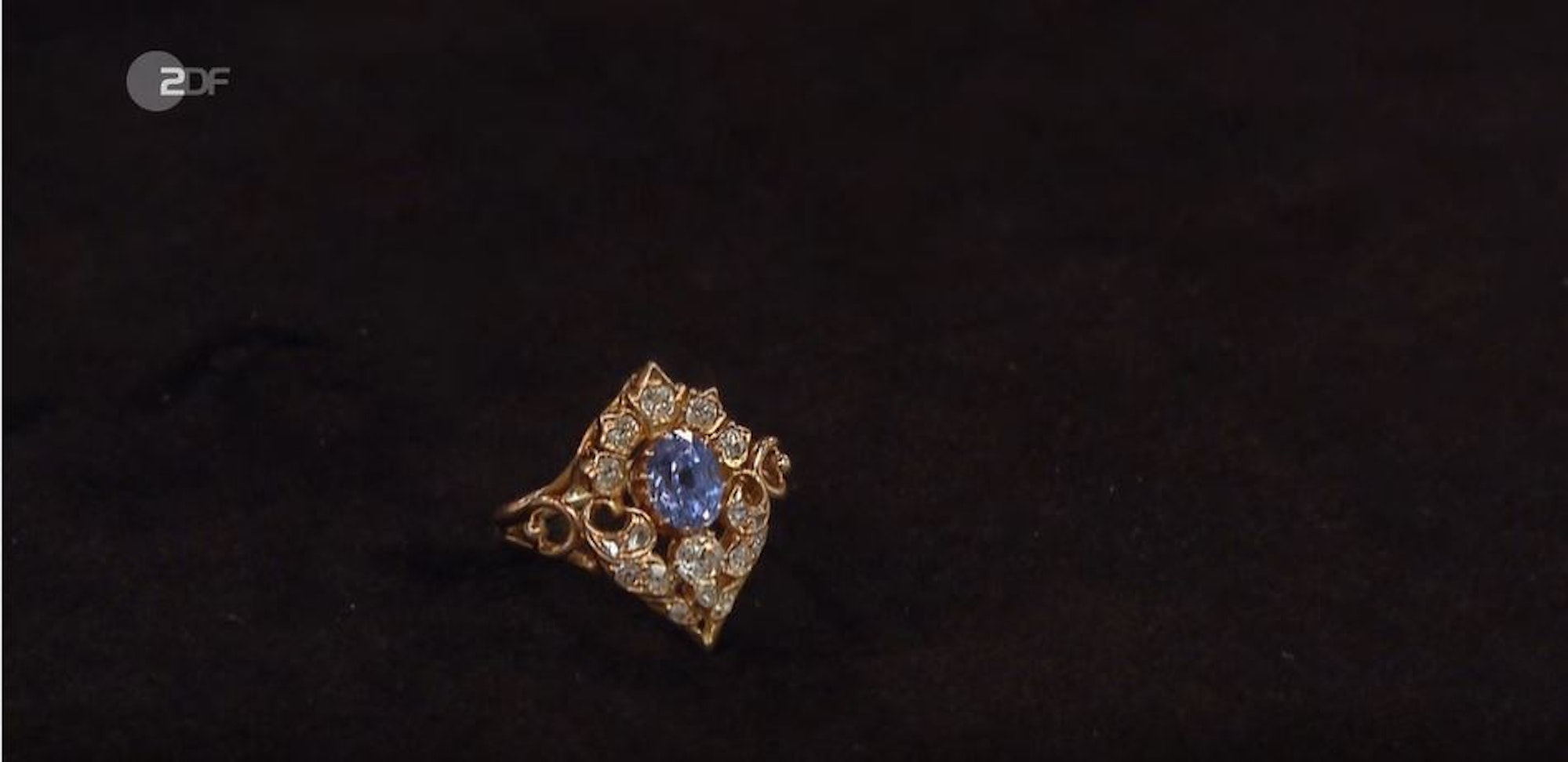 Ring_BfR_20052021