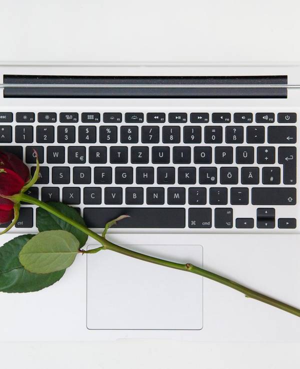 Eine rote Rose liegt auf einem weißen Laptop.