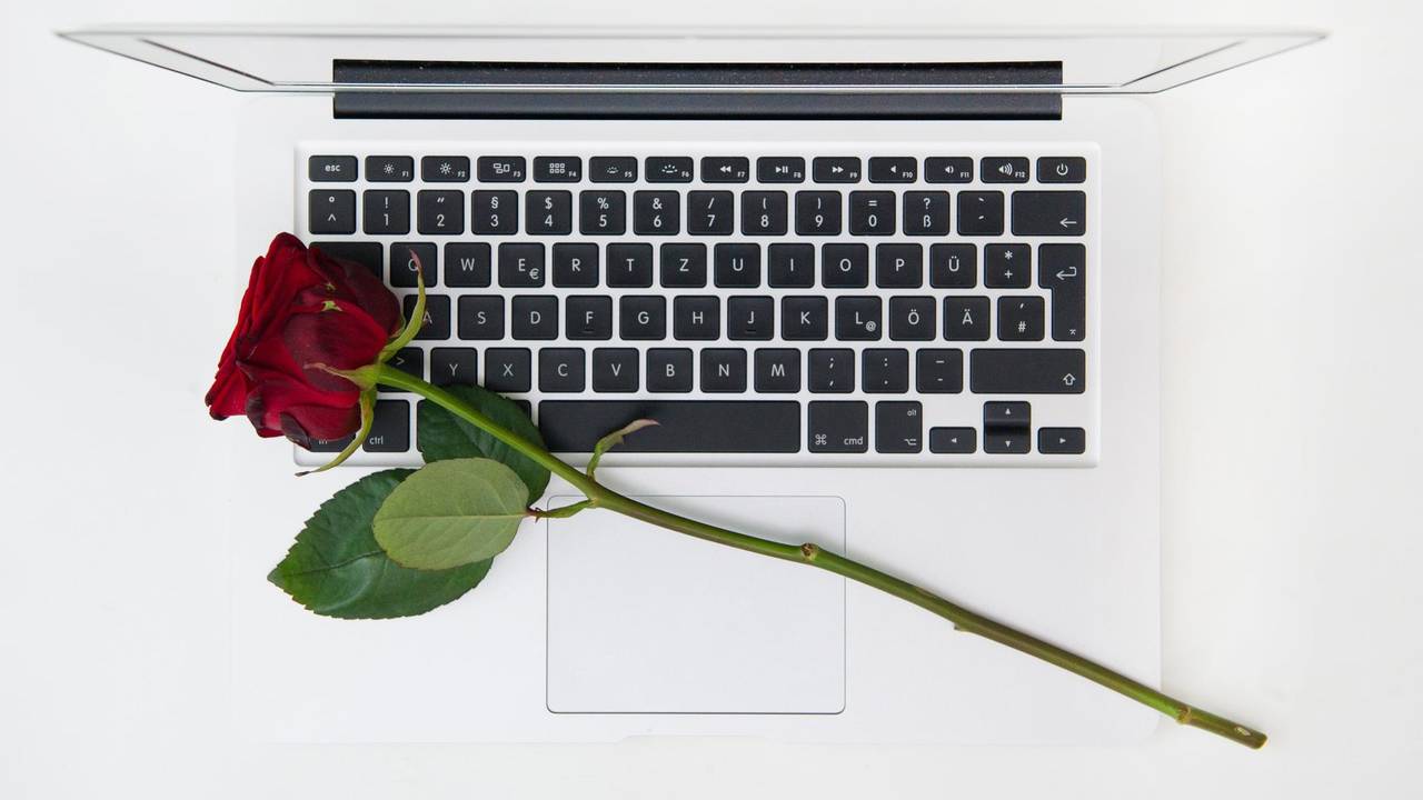 Eine rote Rose liegt auf einem weißen Laptop.