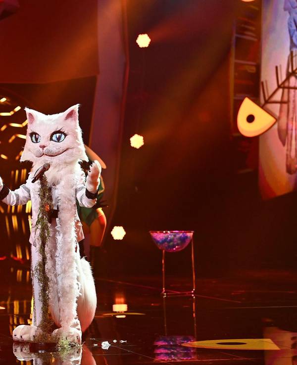 Katze The Masked Singer