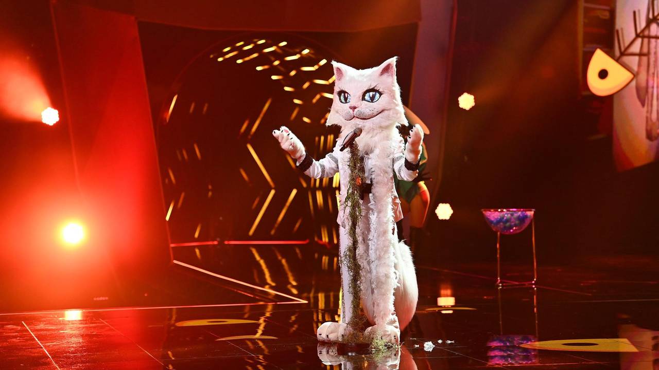 Katze The Masked Singer