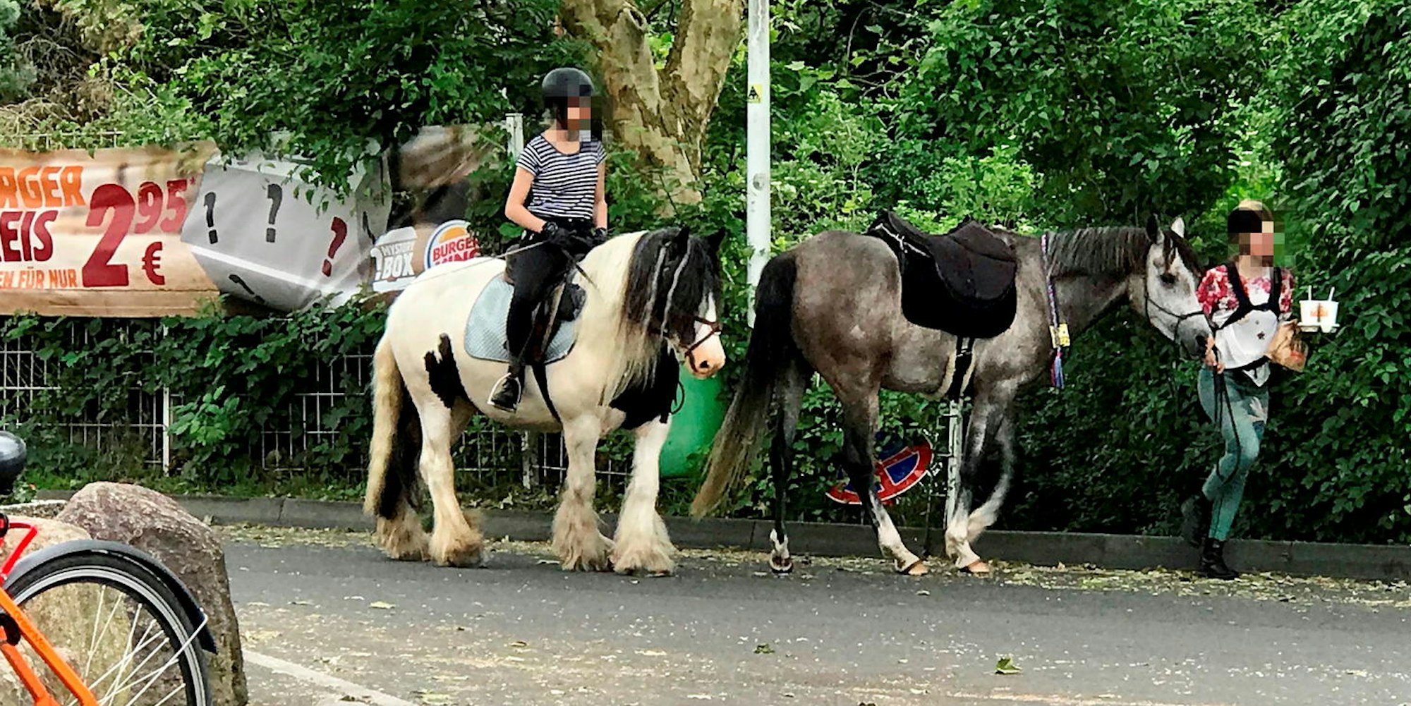 pferd2