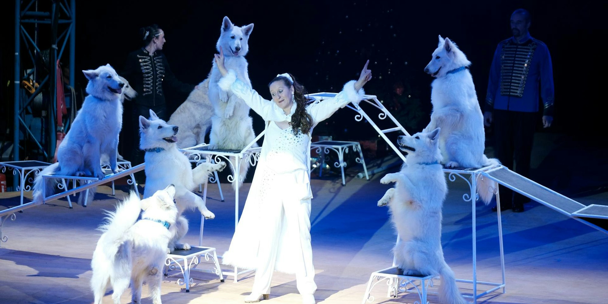 Weihnachtscircus1