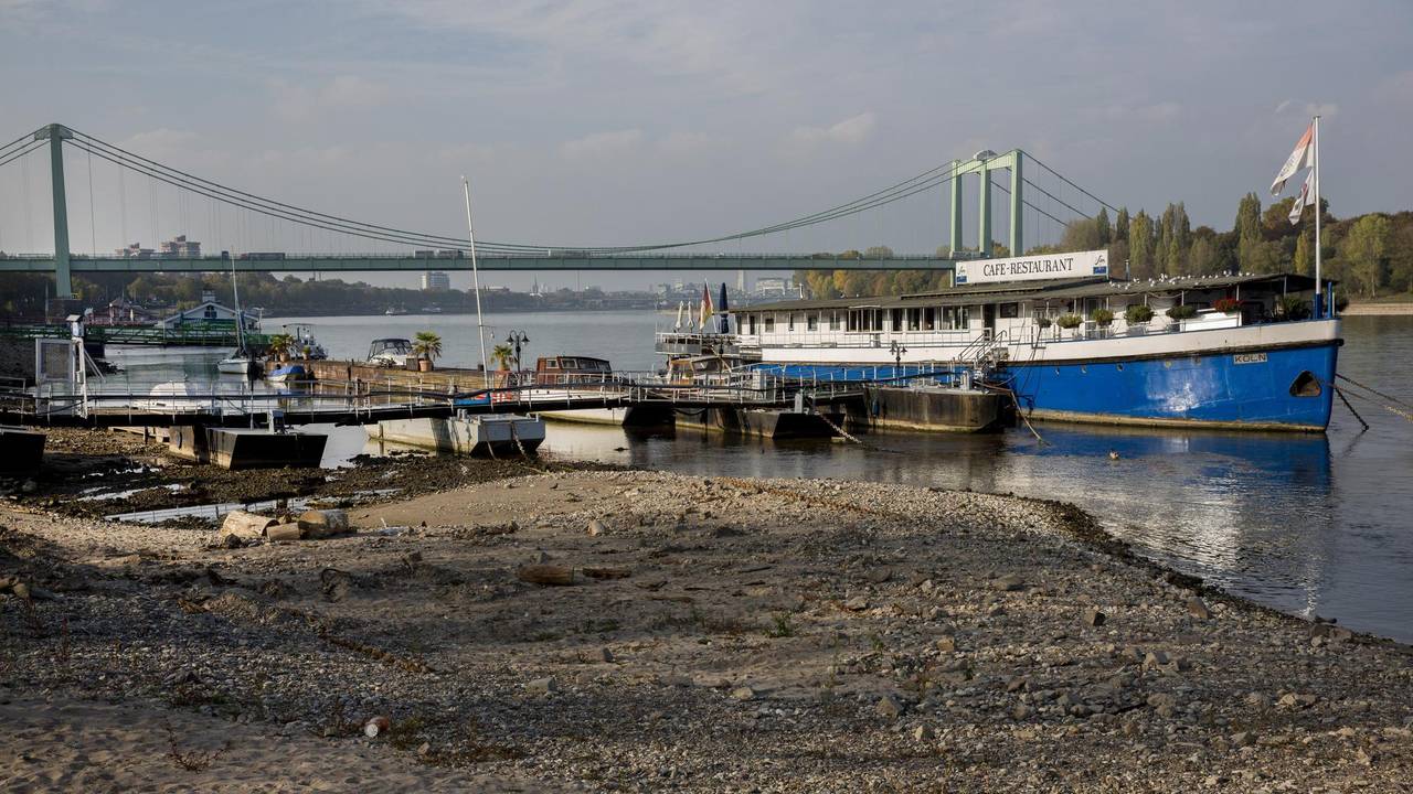 Rodenkirchen_Niedrigwasser_Rhein