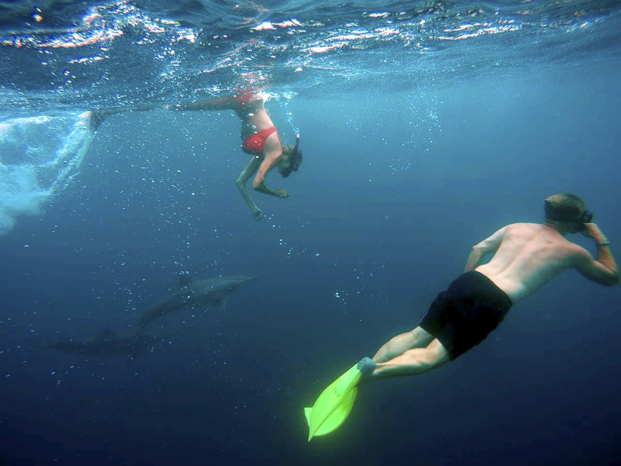 teichert schleicher hochzeit006