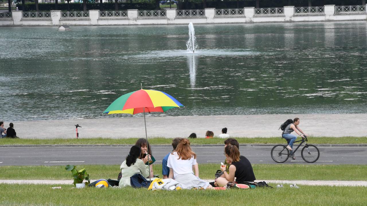 Mehrere Frauen sitzen am Aachener Weiher auf der Wiese unter einem Sonnenschirm.