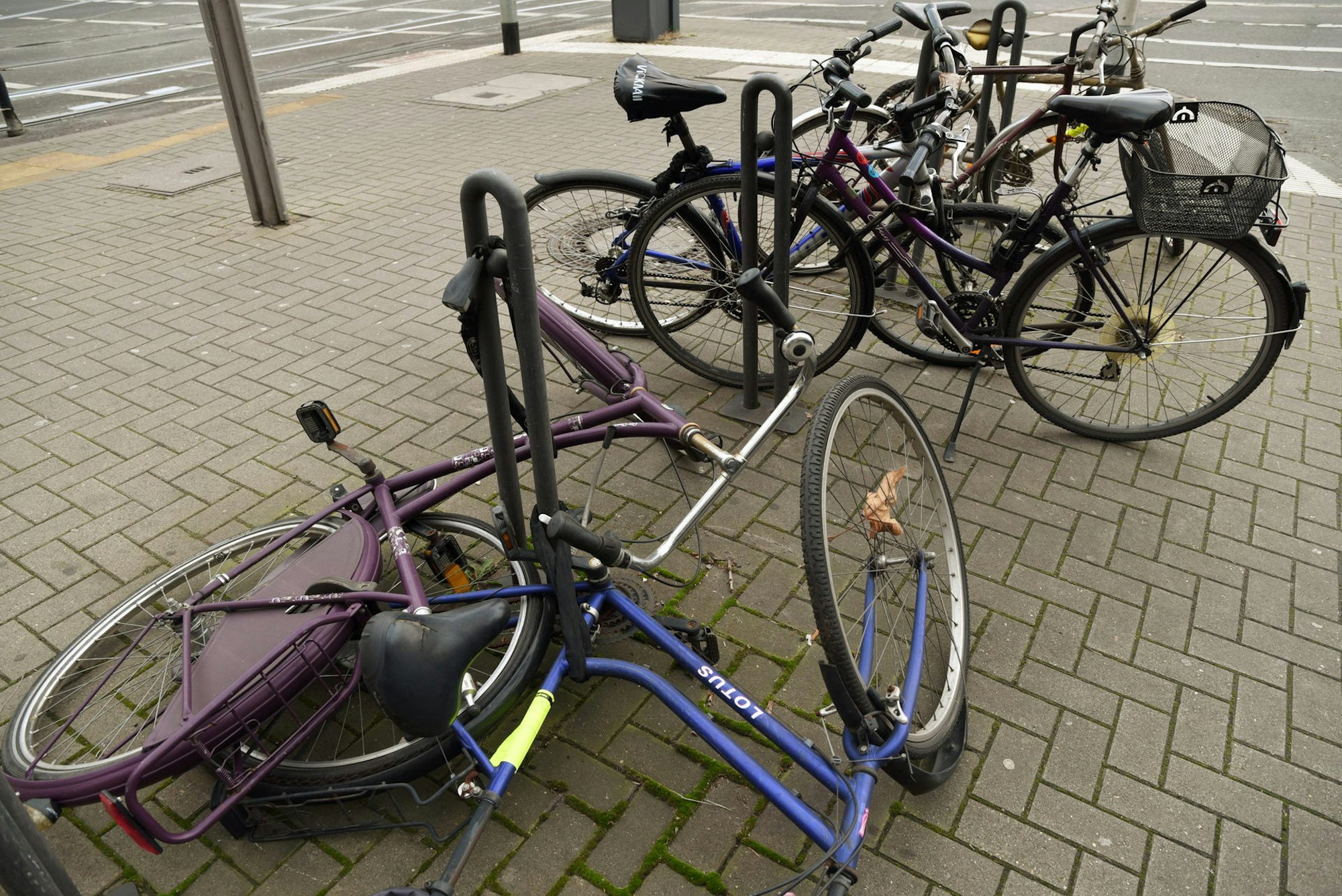 020120Fahrrad-Entsorgung01