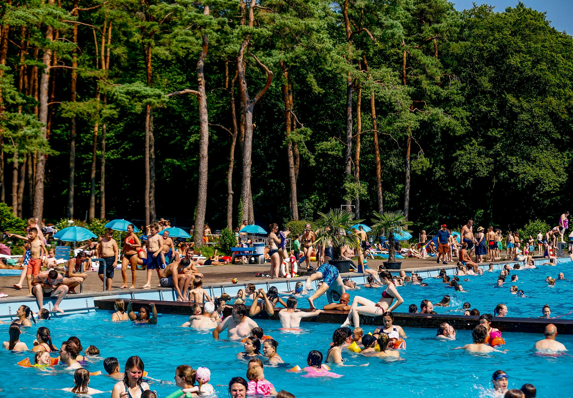 20190626_ths_waldbad_08