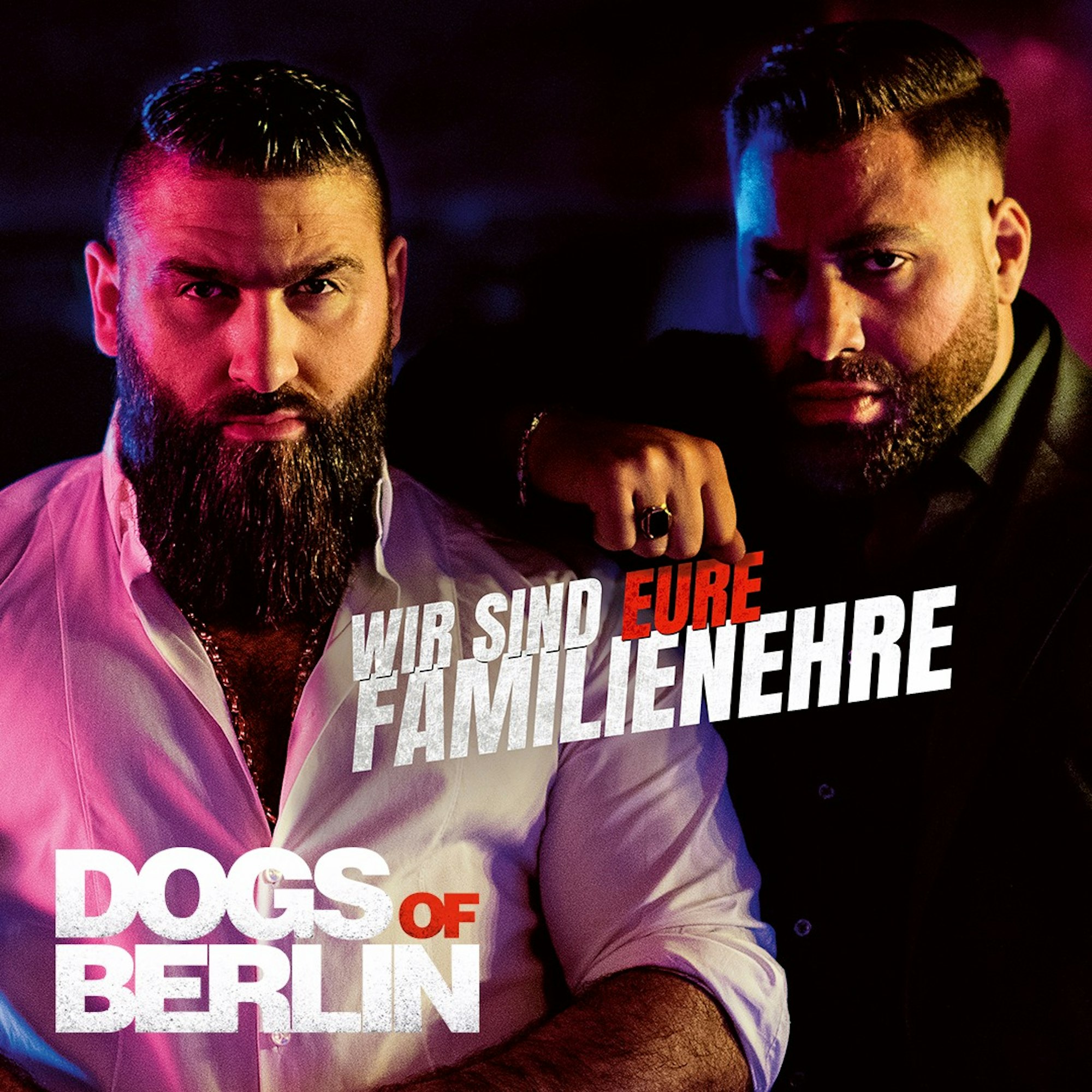 Plakat Dogs of Berlin