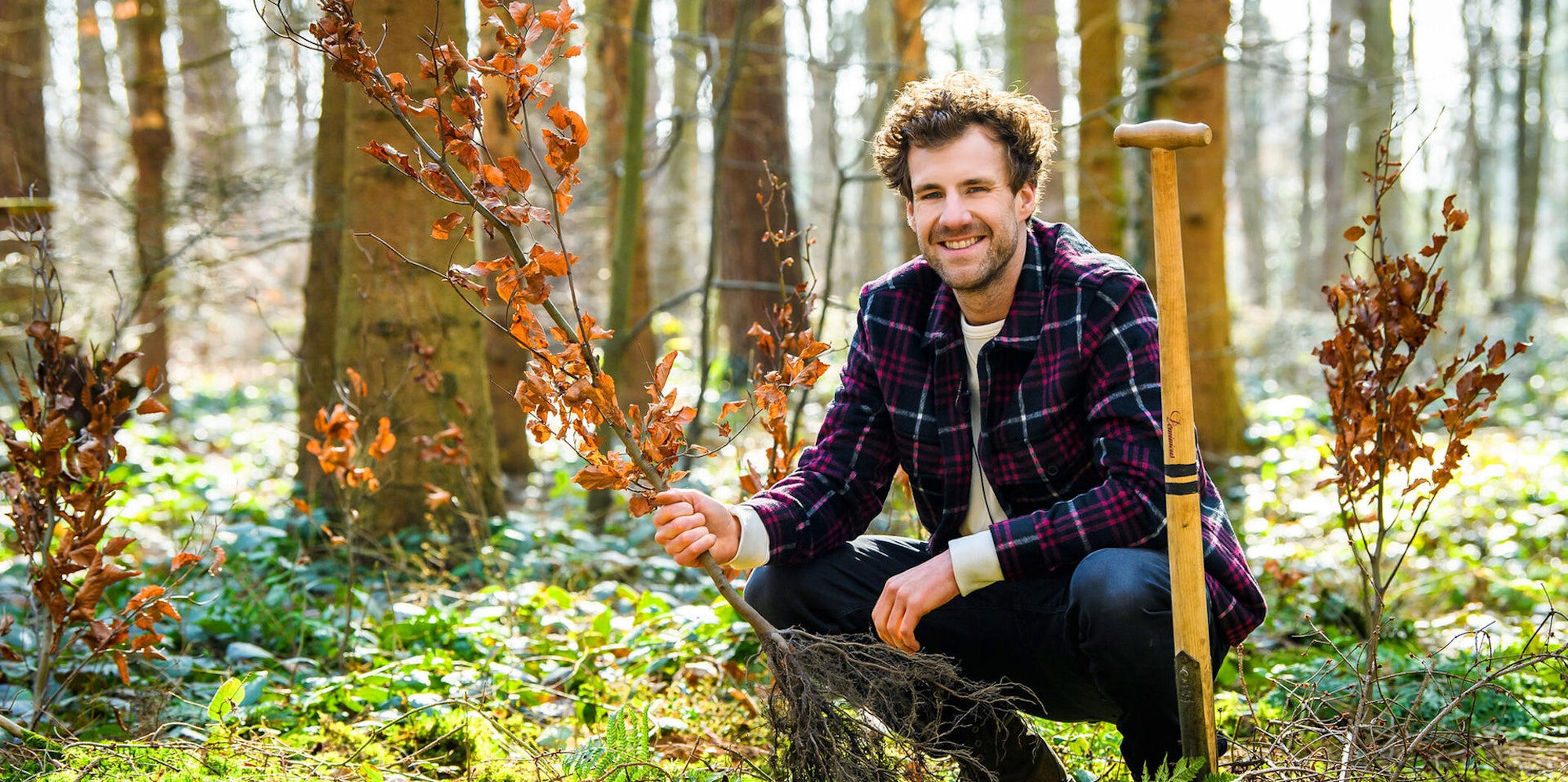 LukeMockridge_Baeume