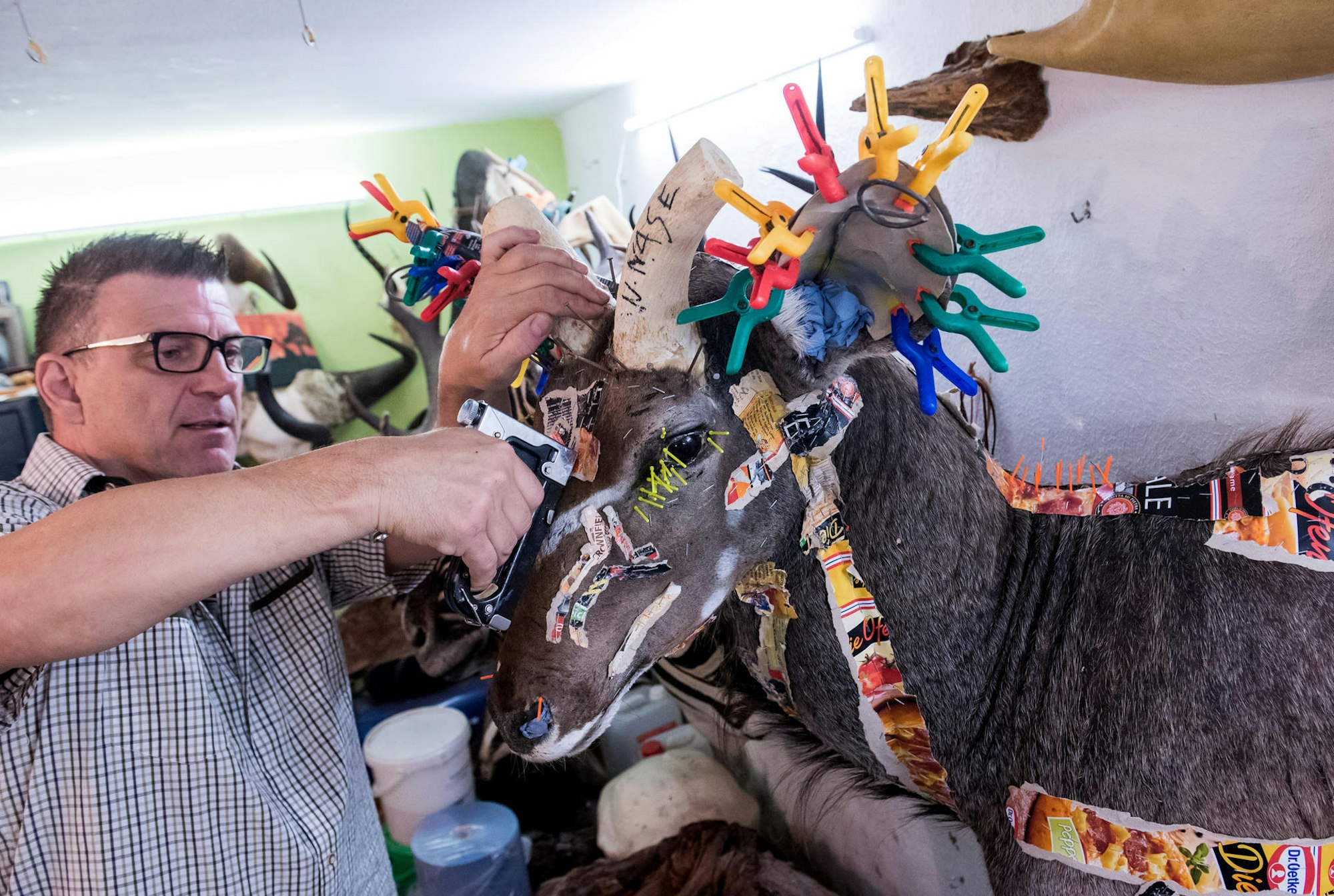 Ausgestopfte_Antilope_140619