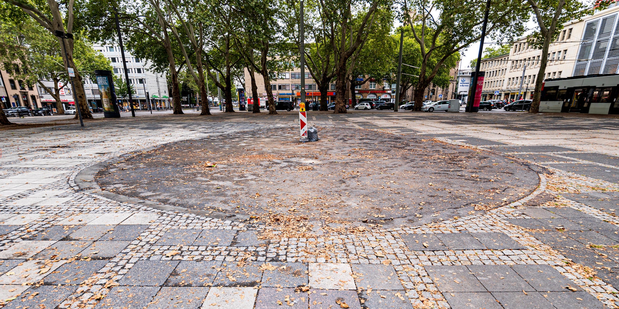 MDS-KSTA-2019-08-14-71-150999459