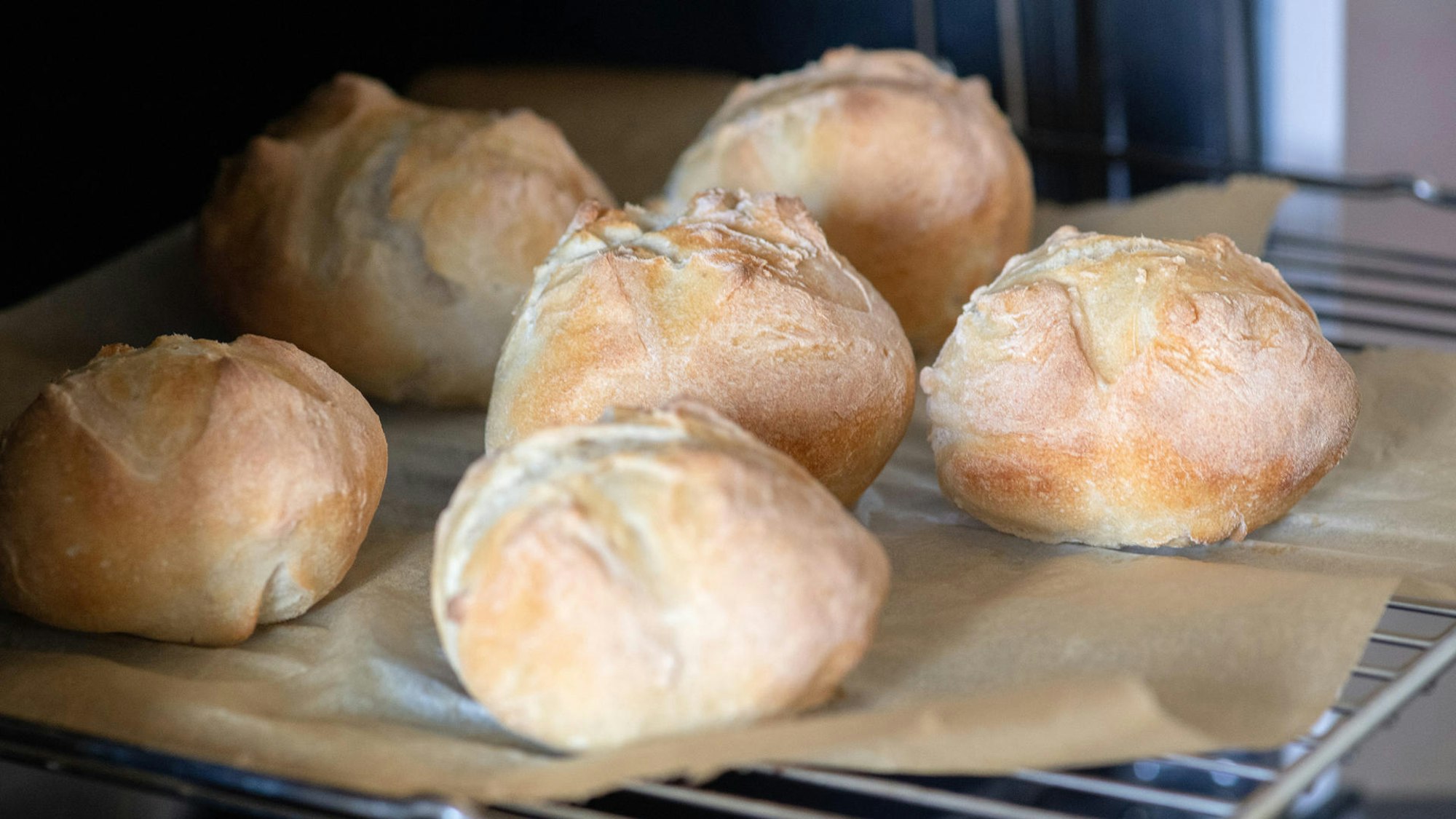 Das undatierte Symbolfoto zeigt sechs Aufbackbrötchen, die mit Backpapier auf einem Gitterrost liegen.