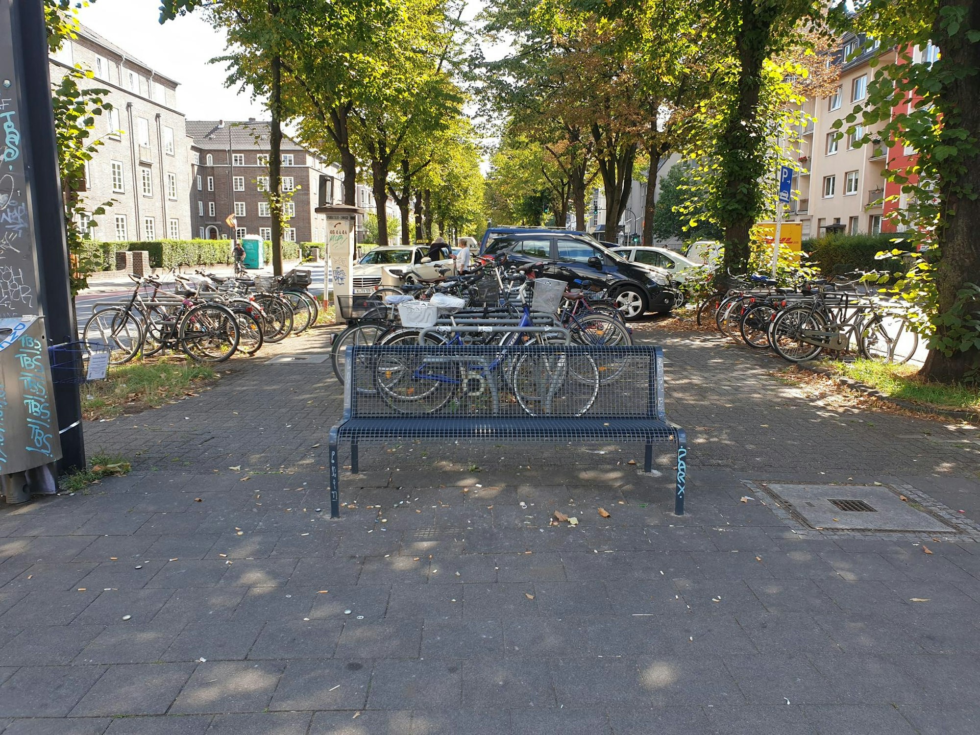 Neuer Inhalt (6)