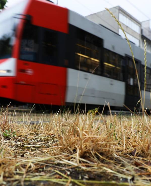 Neuer Inhalt
