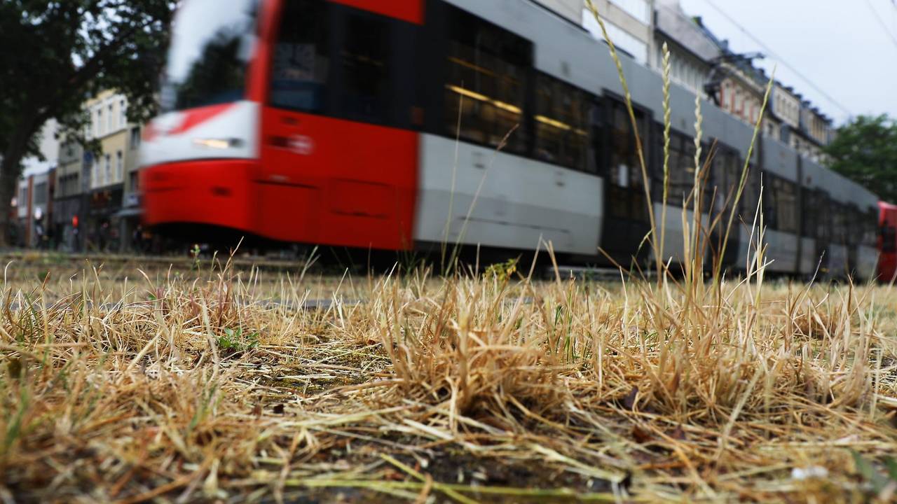 Neuer Inhalt