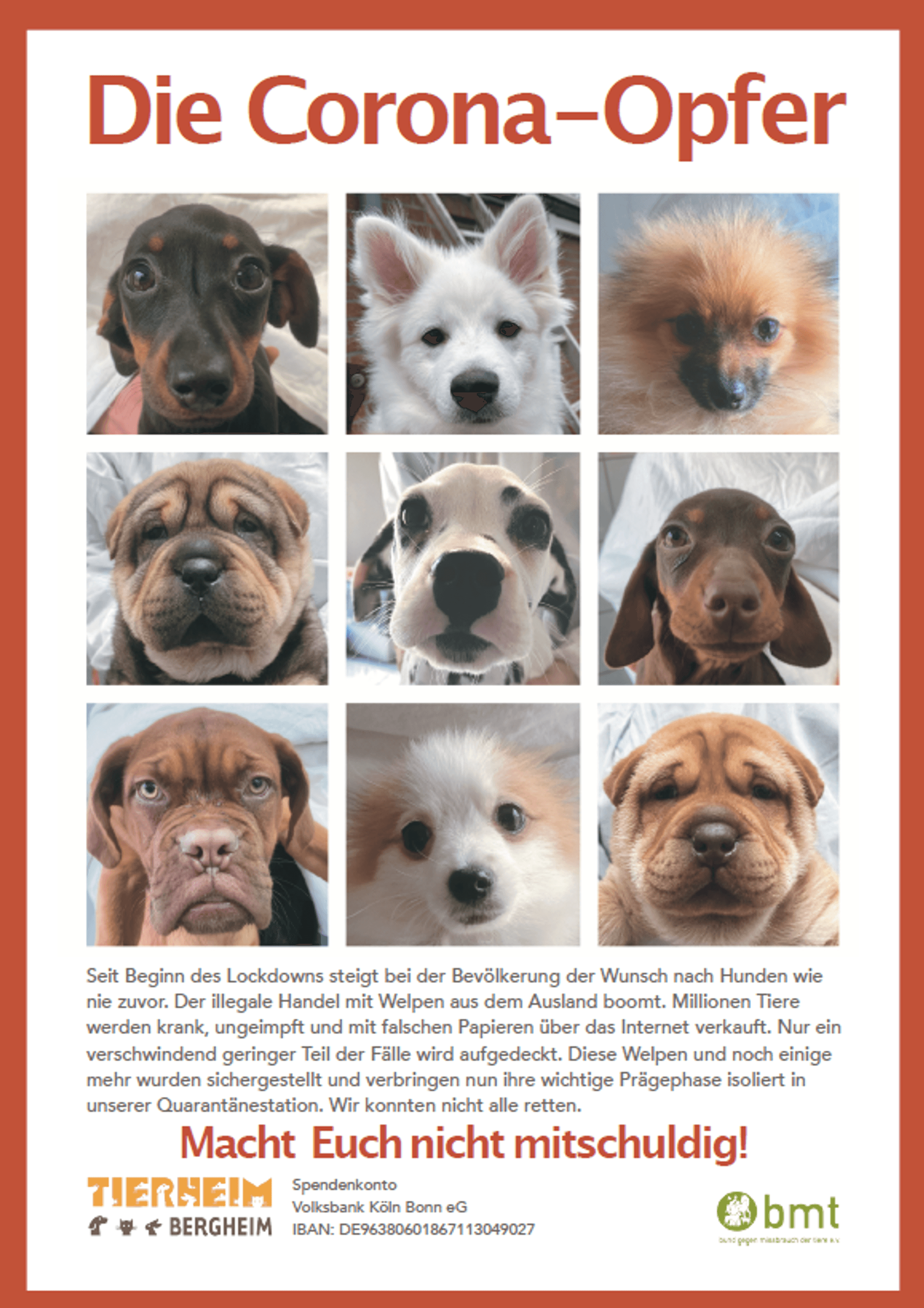Tierheim Plakat
