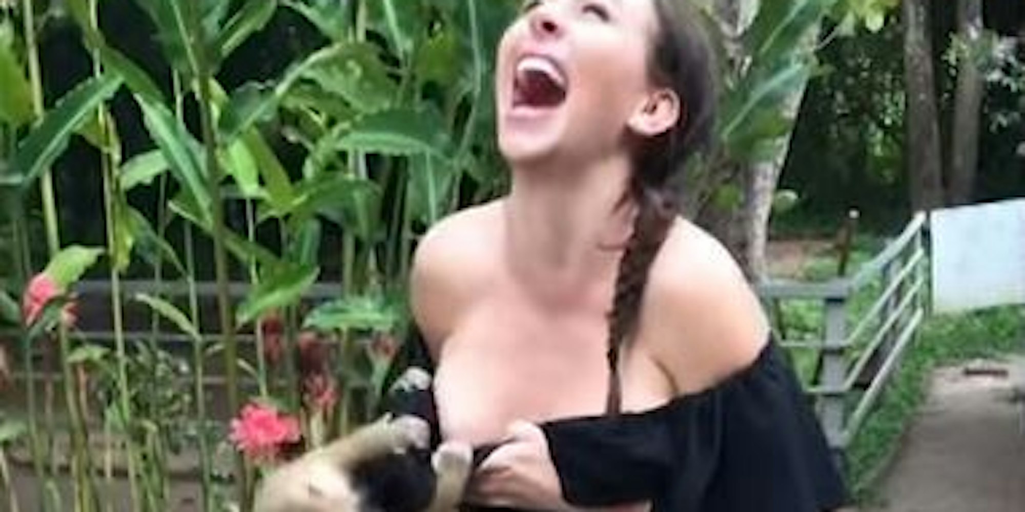Affe Touristin