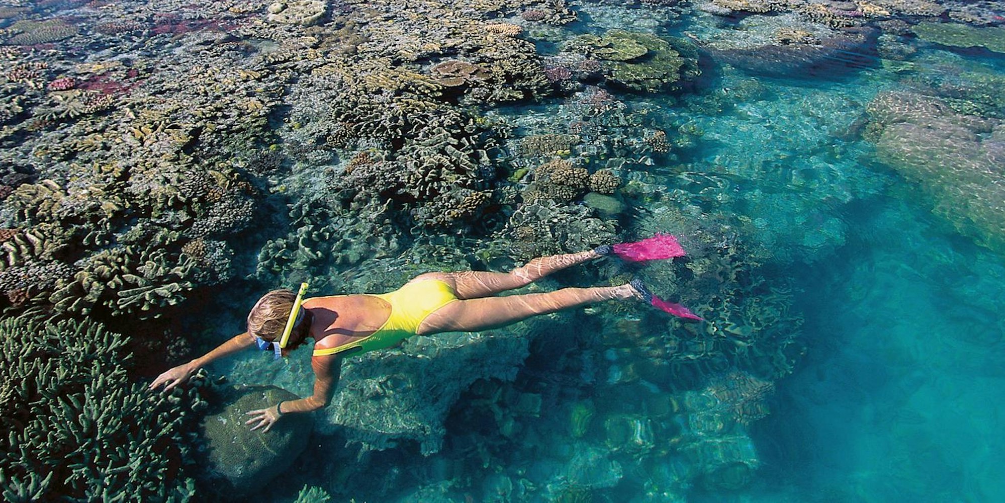 Schnorcheln Symbolfoto