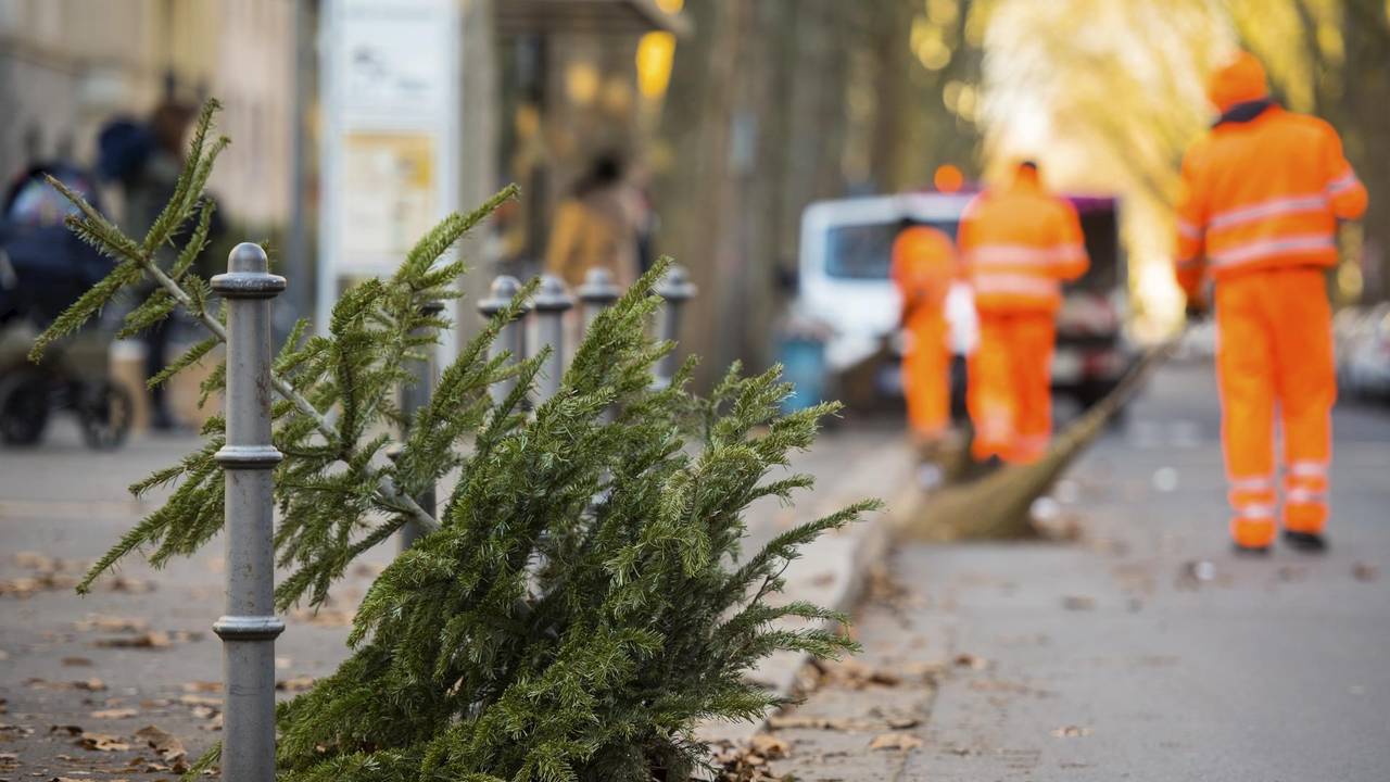 Weihnachtsbaum entsorgen