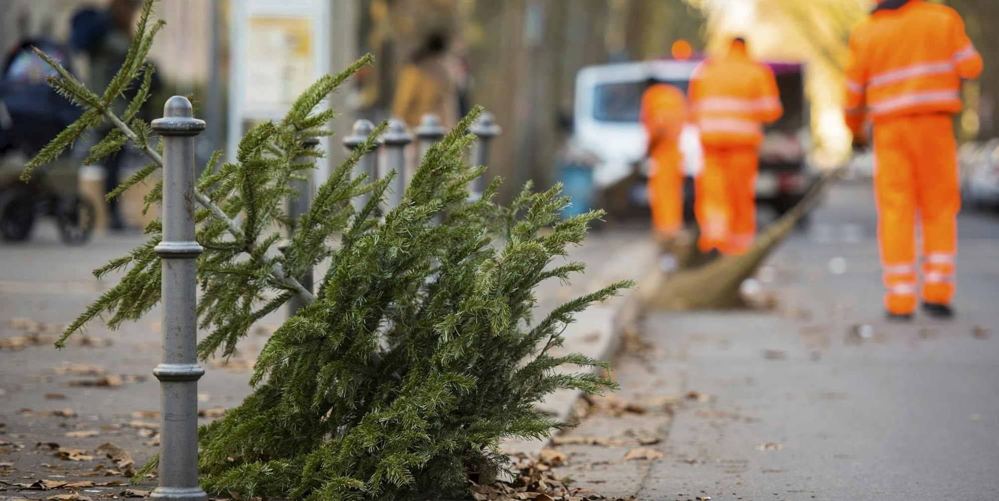 Weihnachtsbaum entsorgen