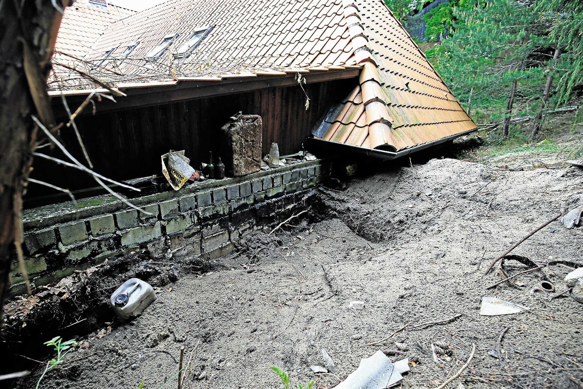 01K___03_71-100356086_ori