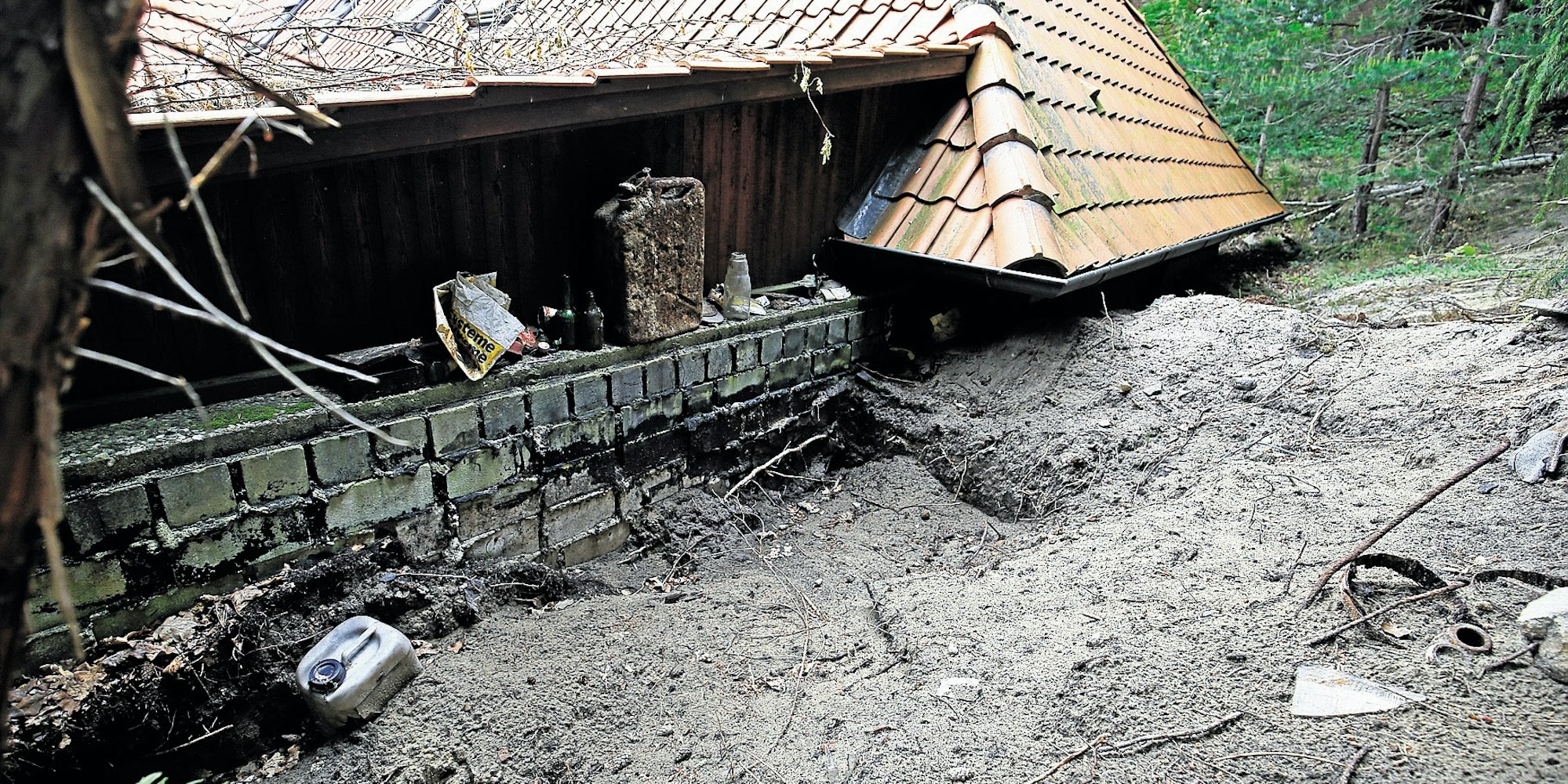 01K___03_71-100356086_ori