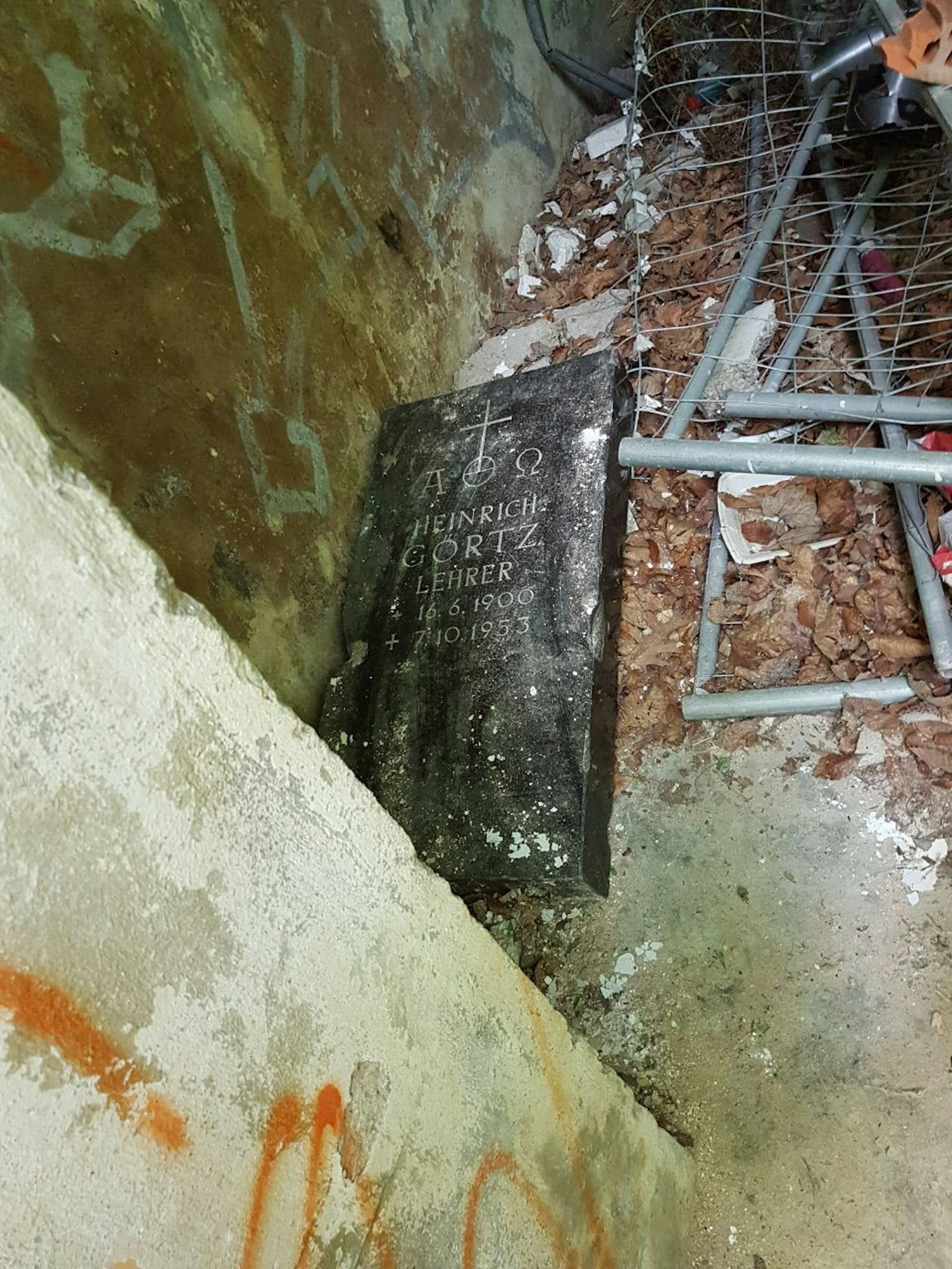 01K___24_71-121590798_ori