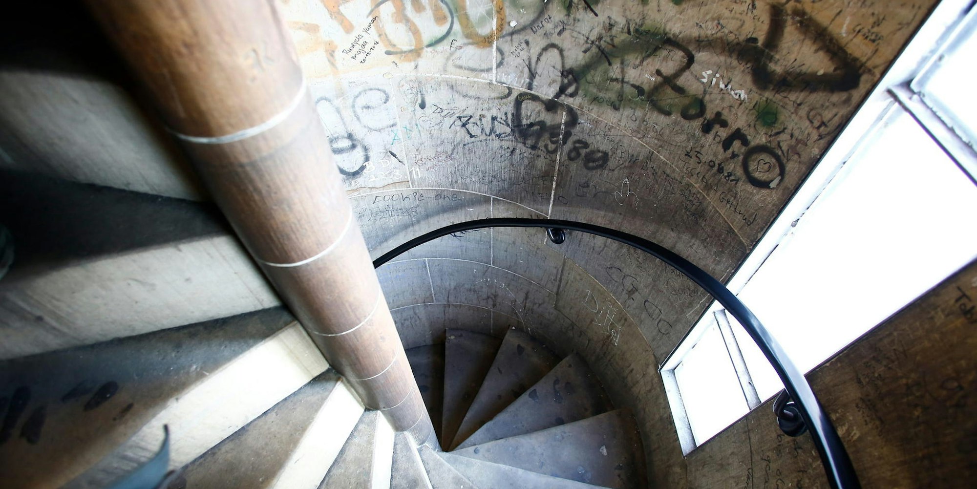 161220_pf_DomReport011