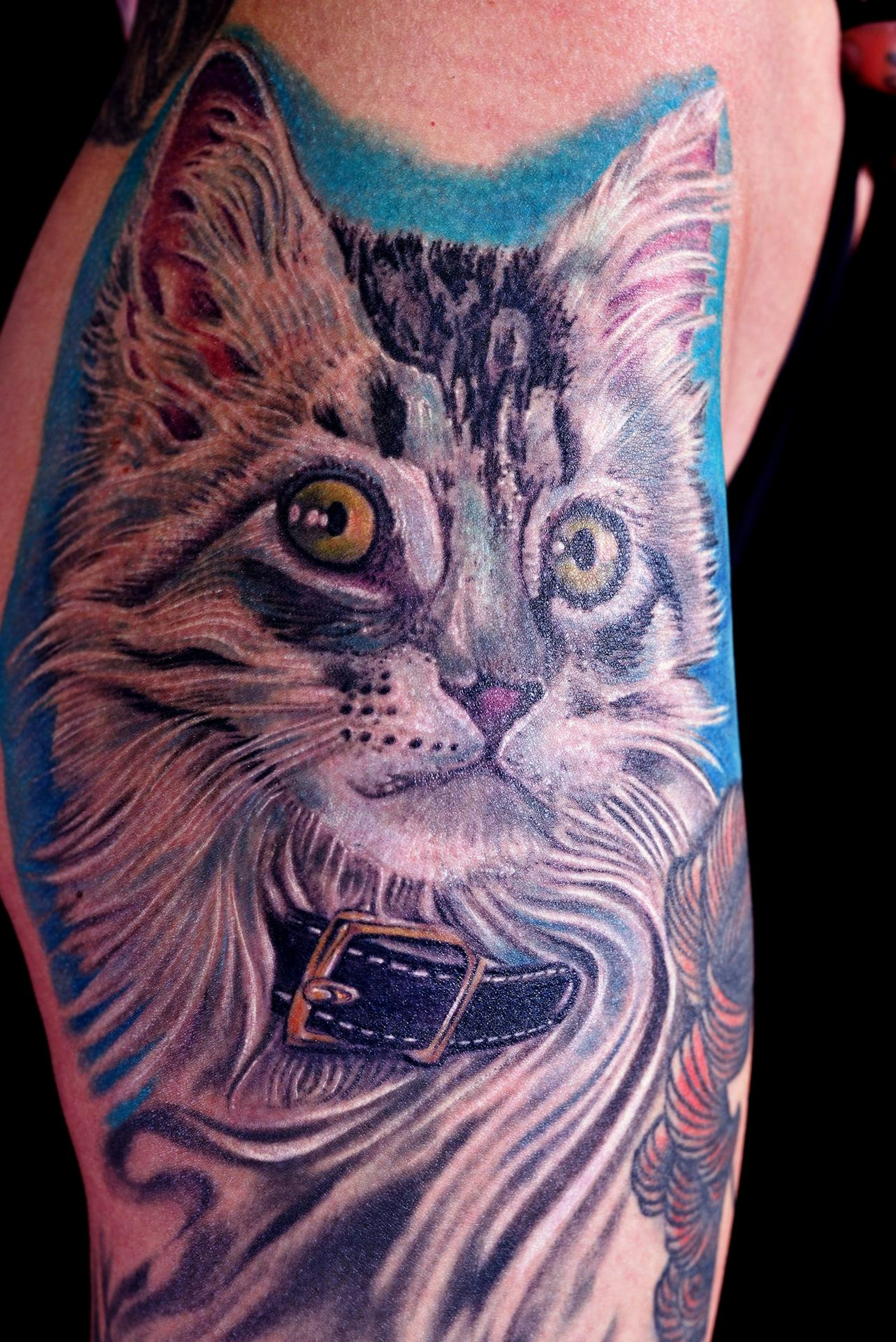 Katzenhaar_Tattoo_180323