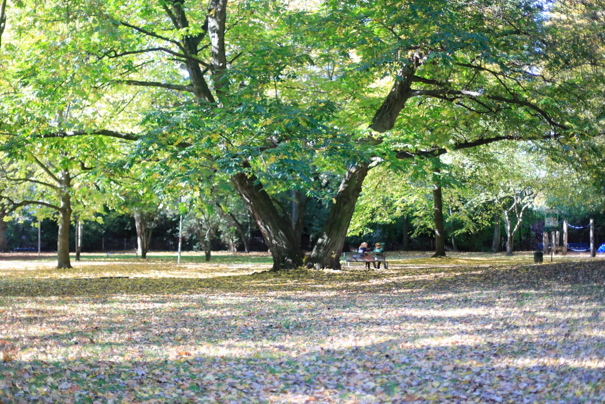 stadtgarten