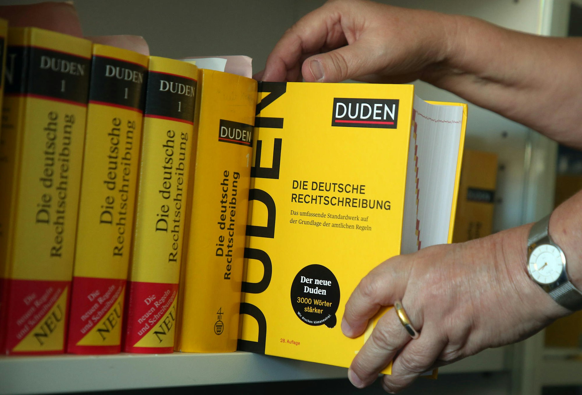 Mehrere Rechtschreibwörterbücher des Dudenverlags in einem Regal sind auf diesem undatierten Symbolfoto zu sehen.