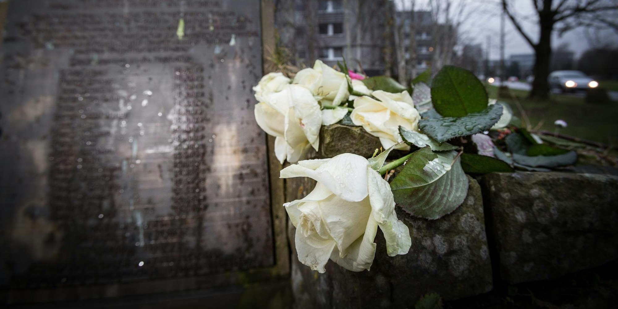 20150201denkmal-mh3053