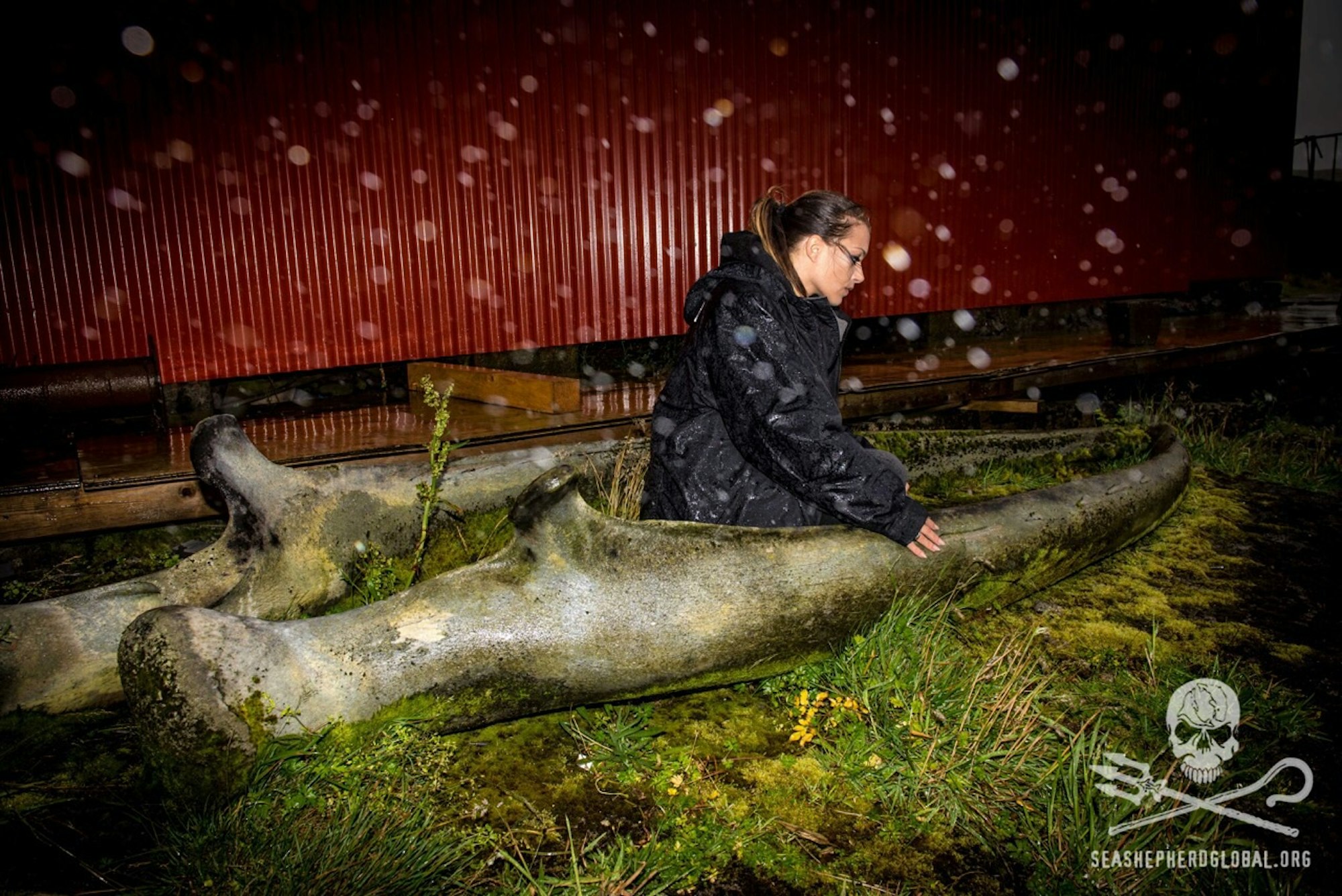 Anne Menden Sea Shepherd (4)