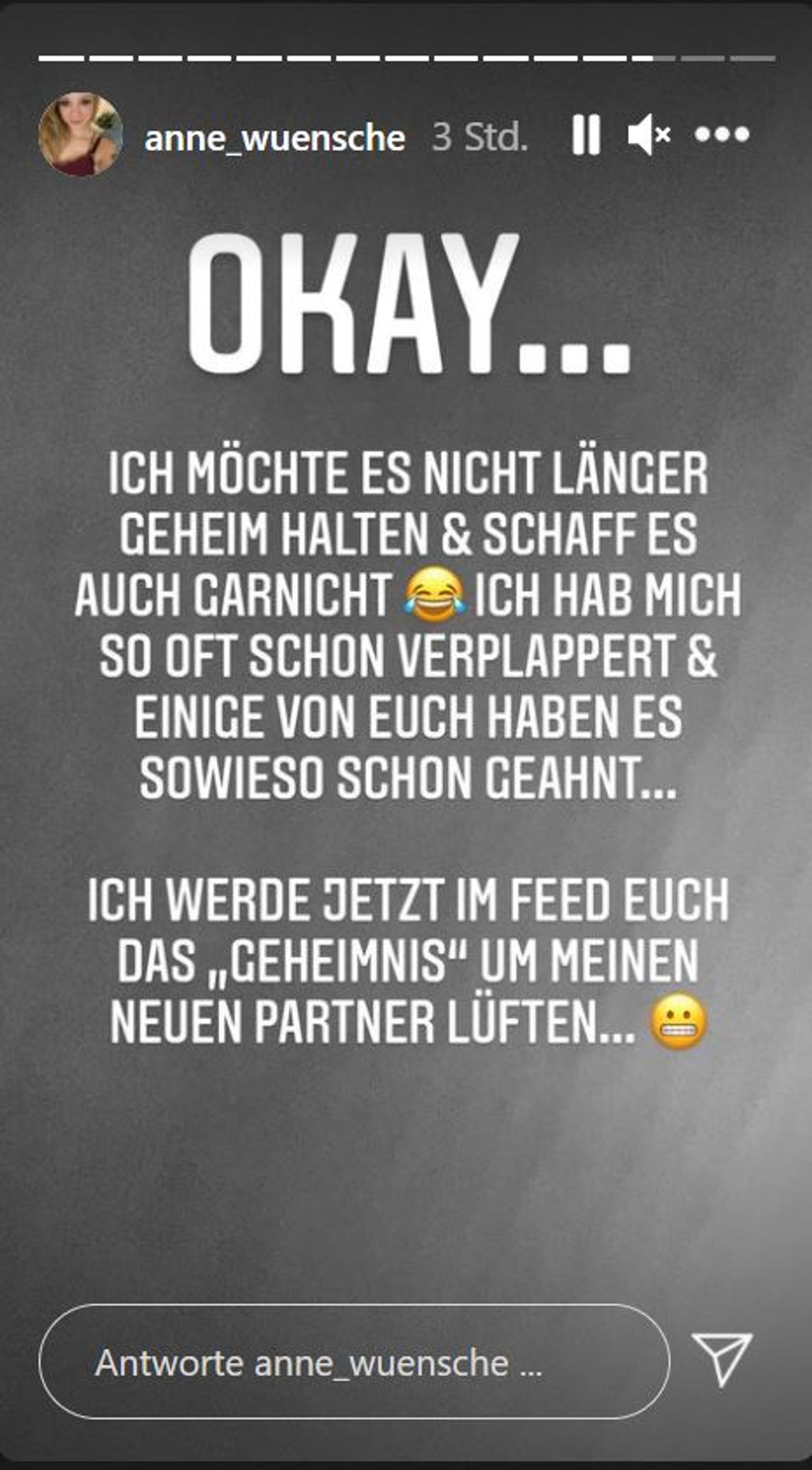 AnneWuensche_InstaStory