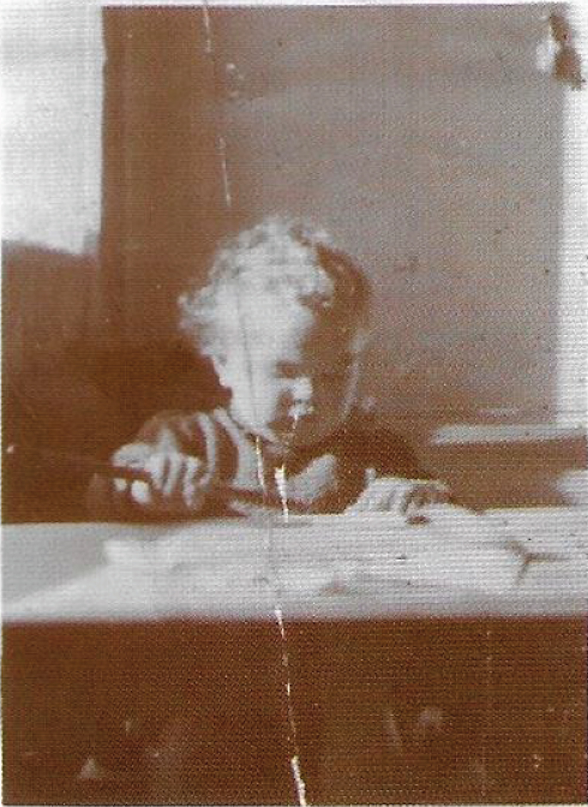 Barbara als Kleinkind