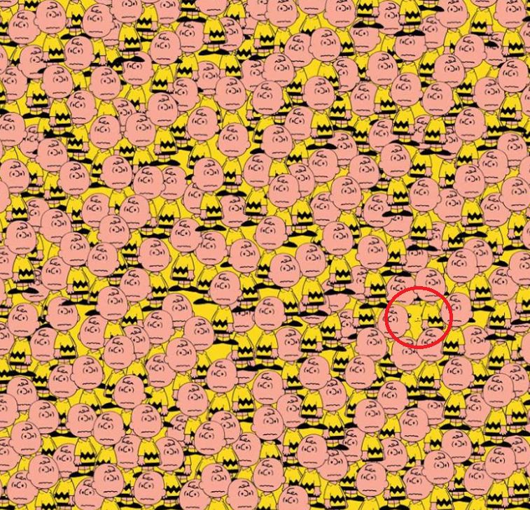 Pikachu-Suchbild_Lösung